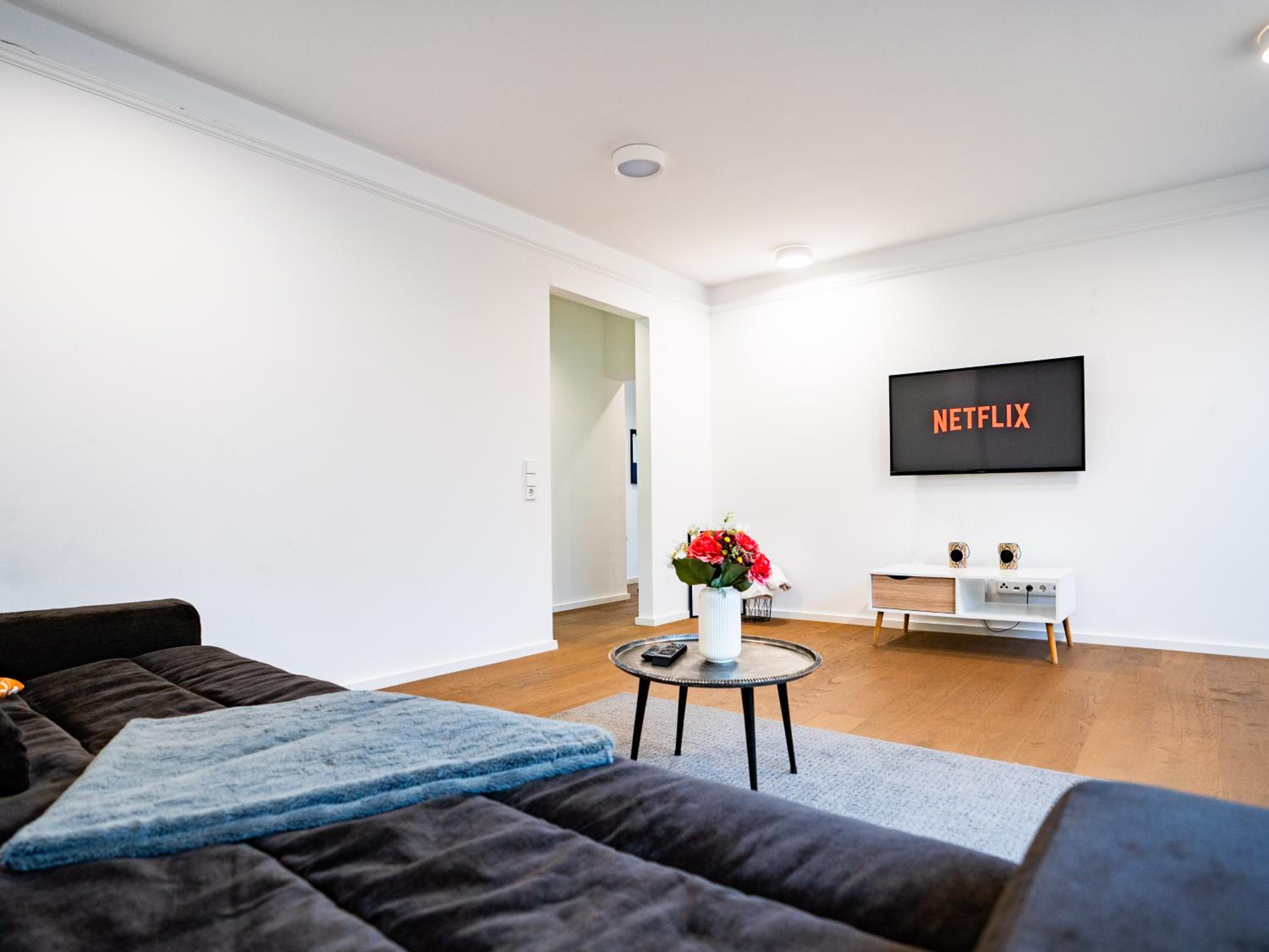 Wiesbaden Vacations - Whirlpool - zentral - Designloft mit XXL Terrasse - Property Image 4