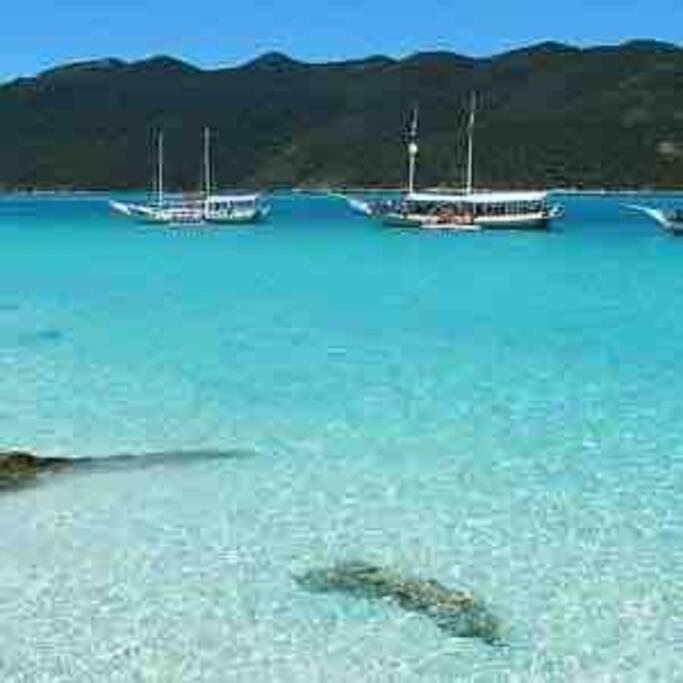 Travelers Dream!
