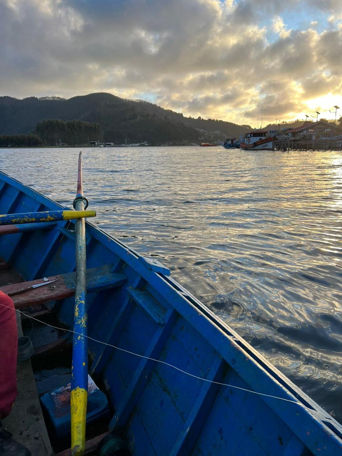 cabaña Wenu Mapu queule