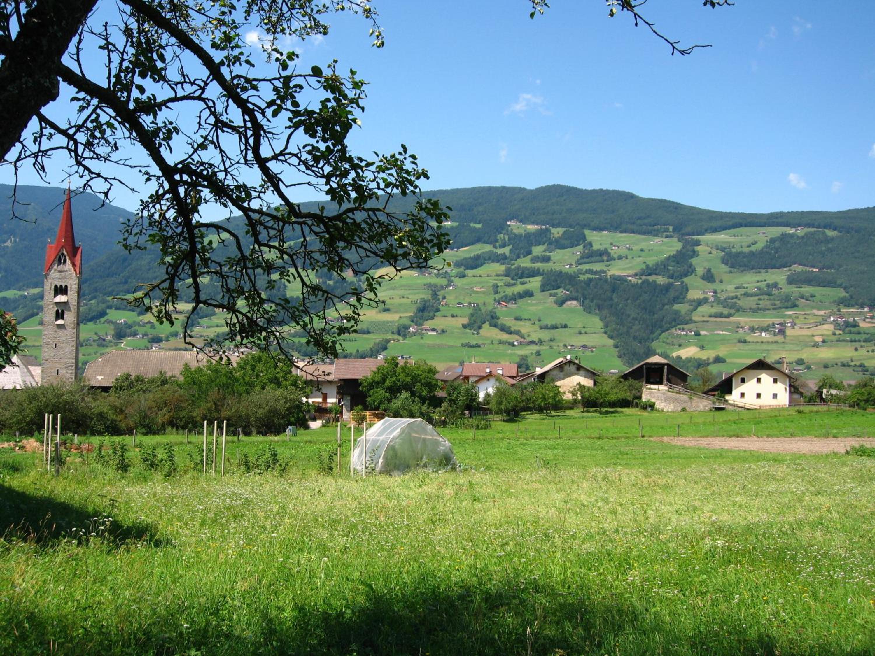 Dillerhof