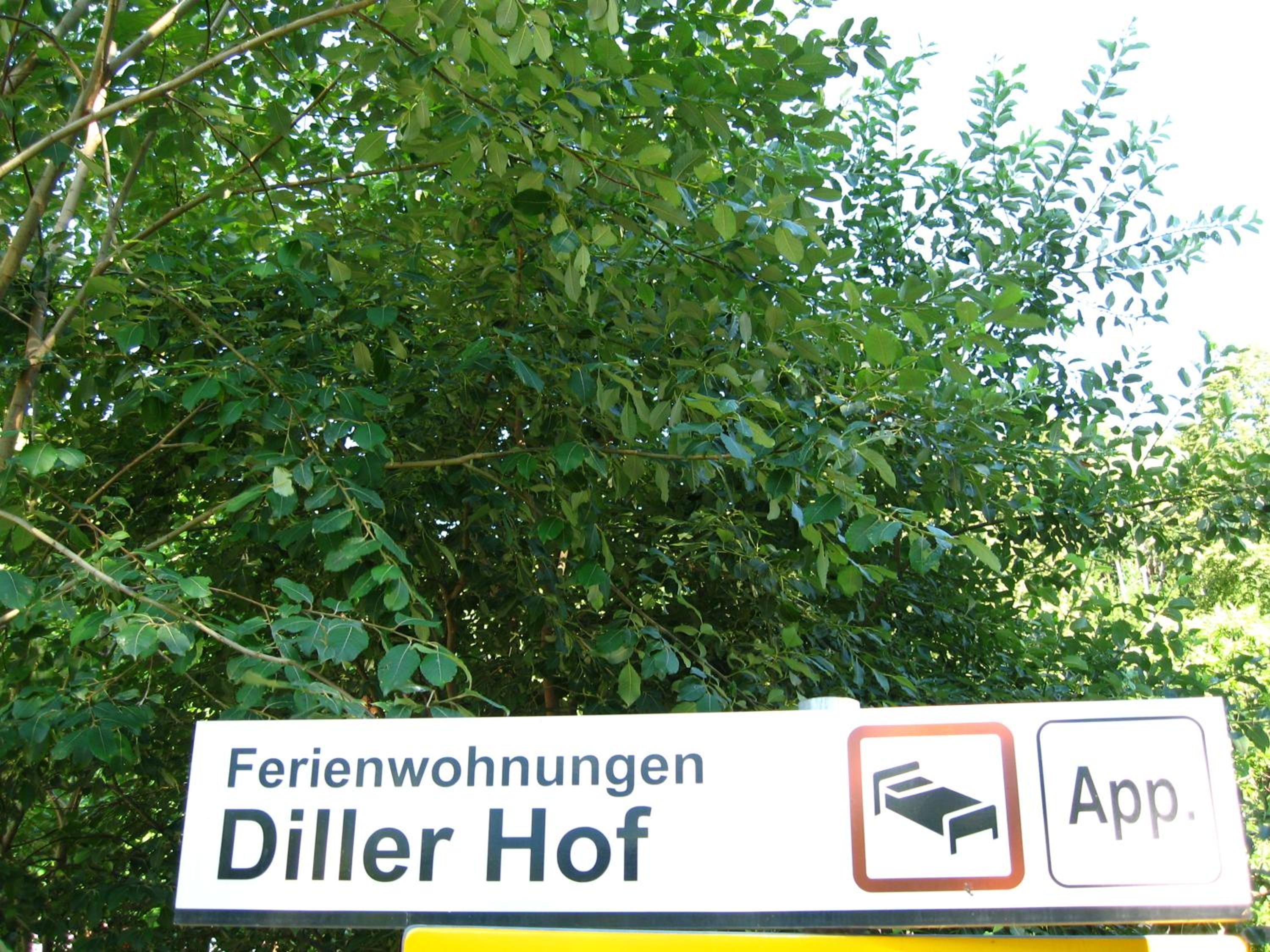 Dillerhof