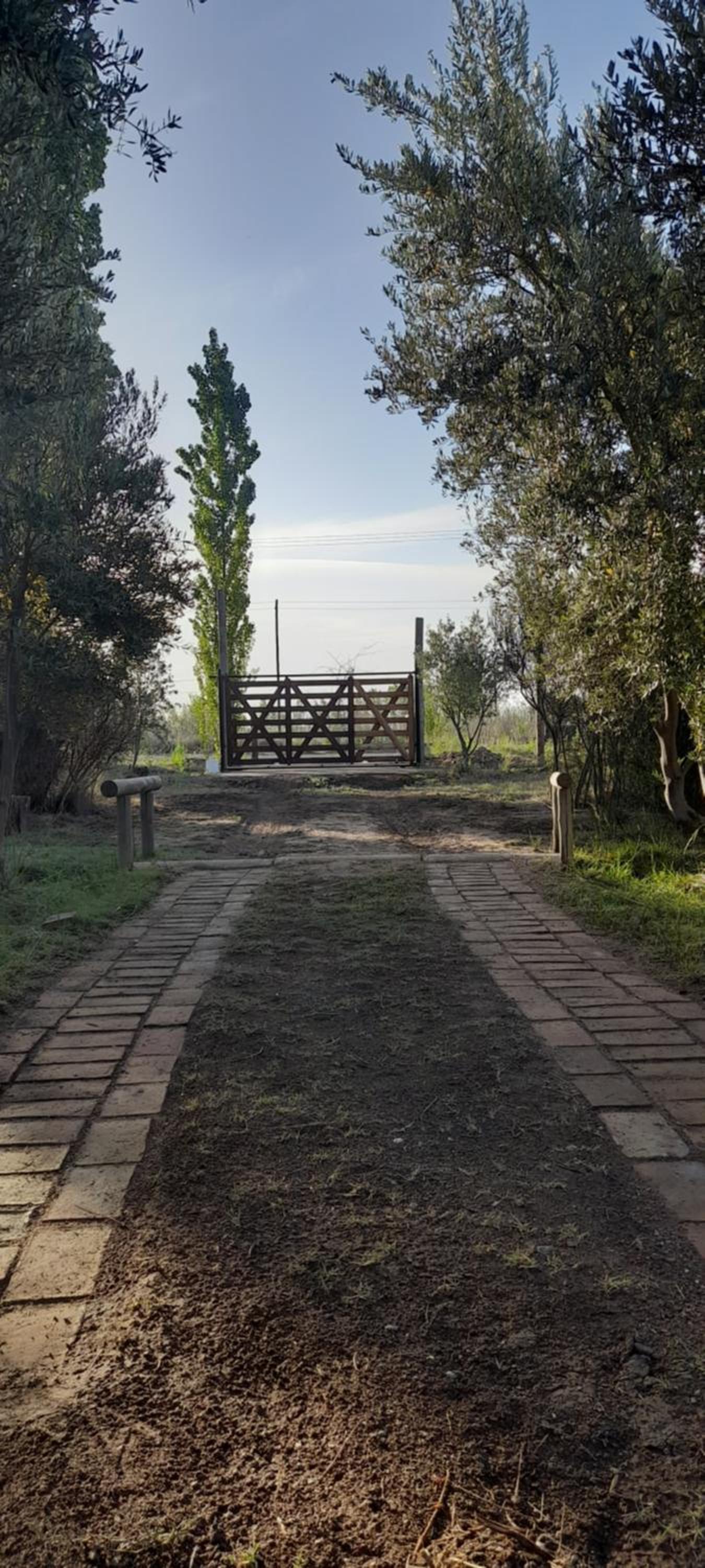 Finca La Calma