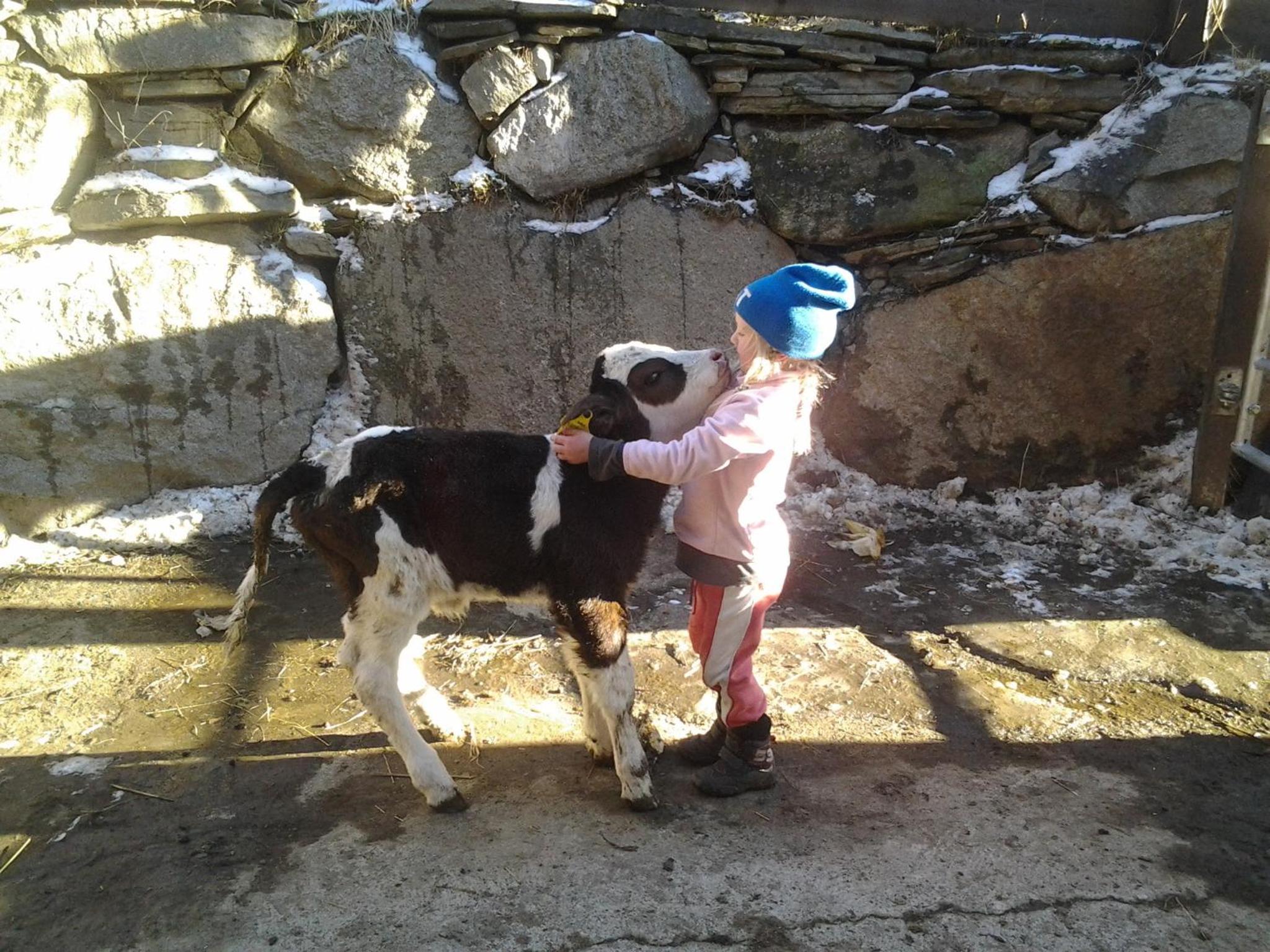 Almhütte Gorgasser