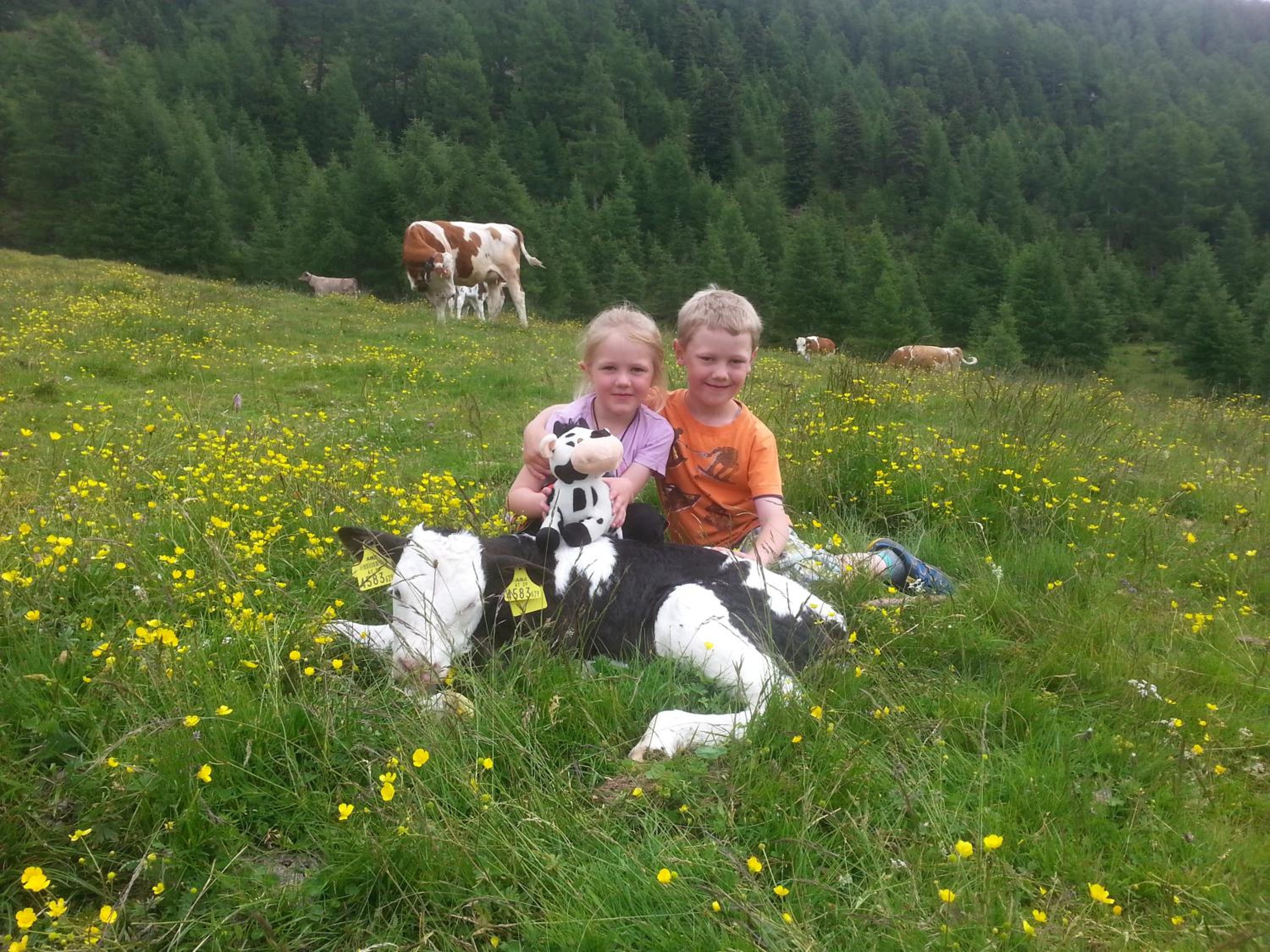 Almhütte Gorgasser