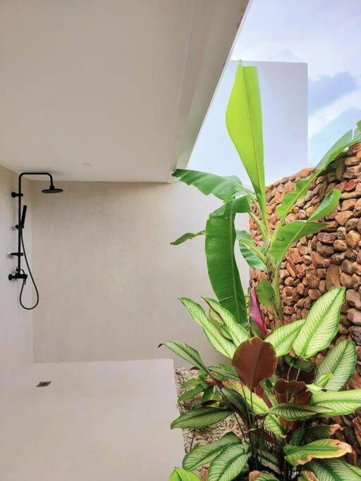 ANAA Villa - Tropical experience
