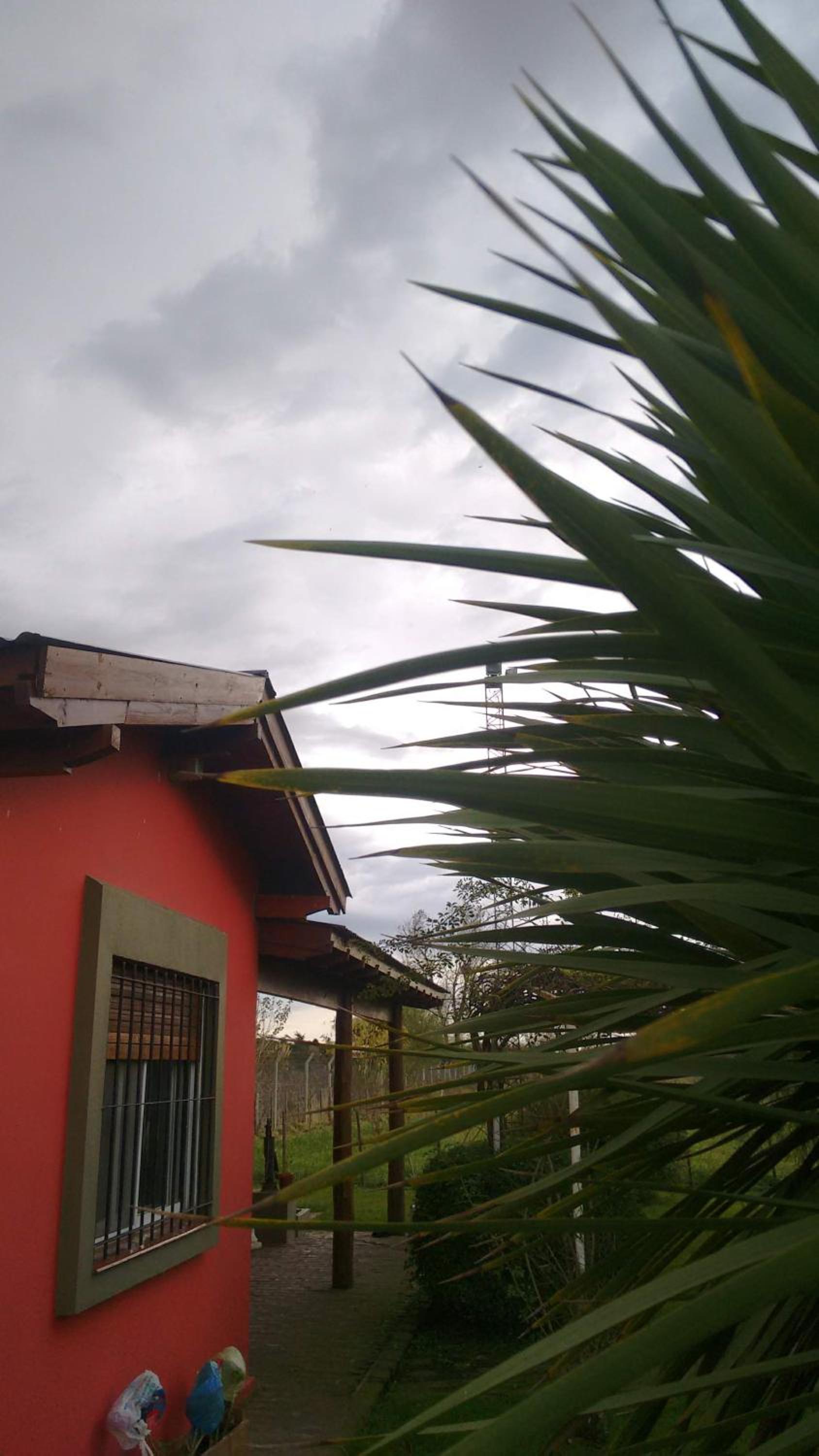 El campito