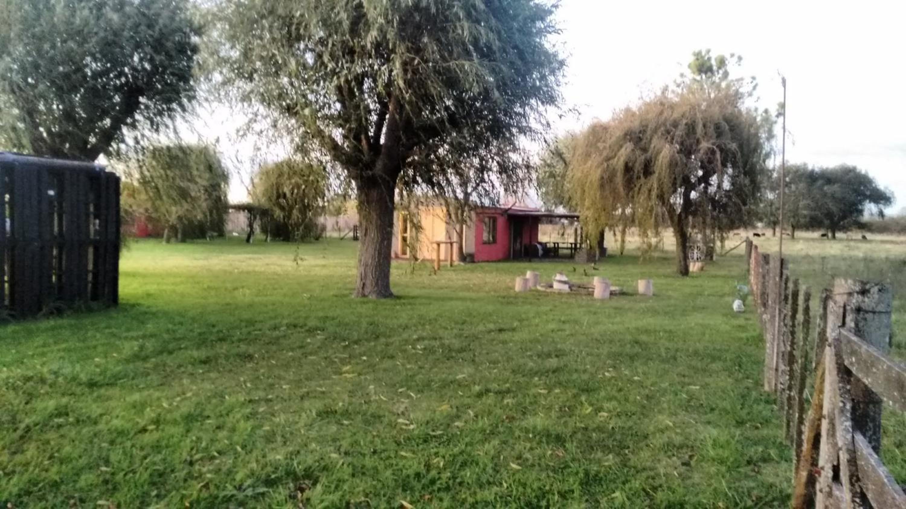 El campito