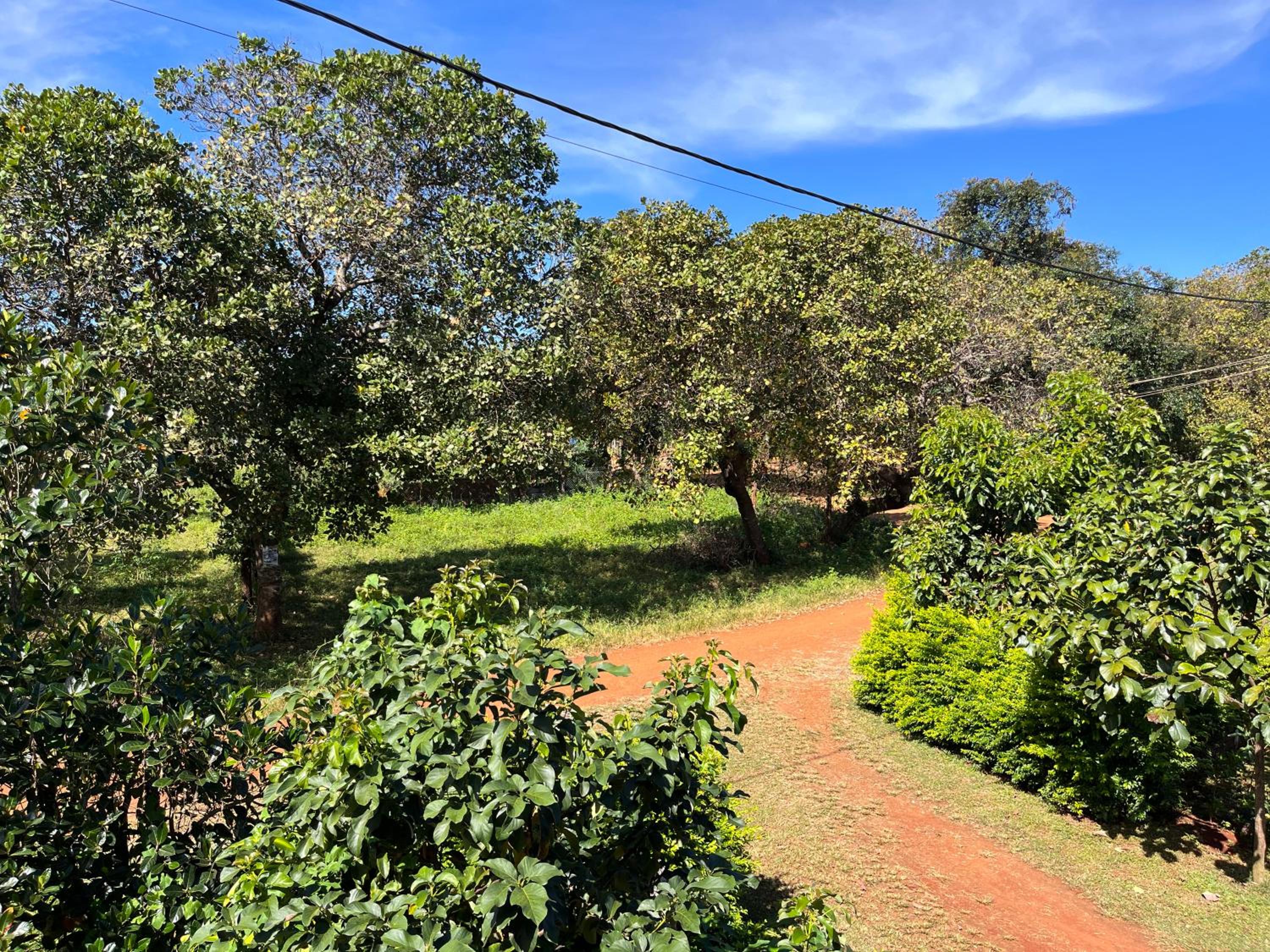 Ratanakiri Farmhouse & Trekking view 5