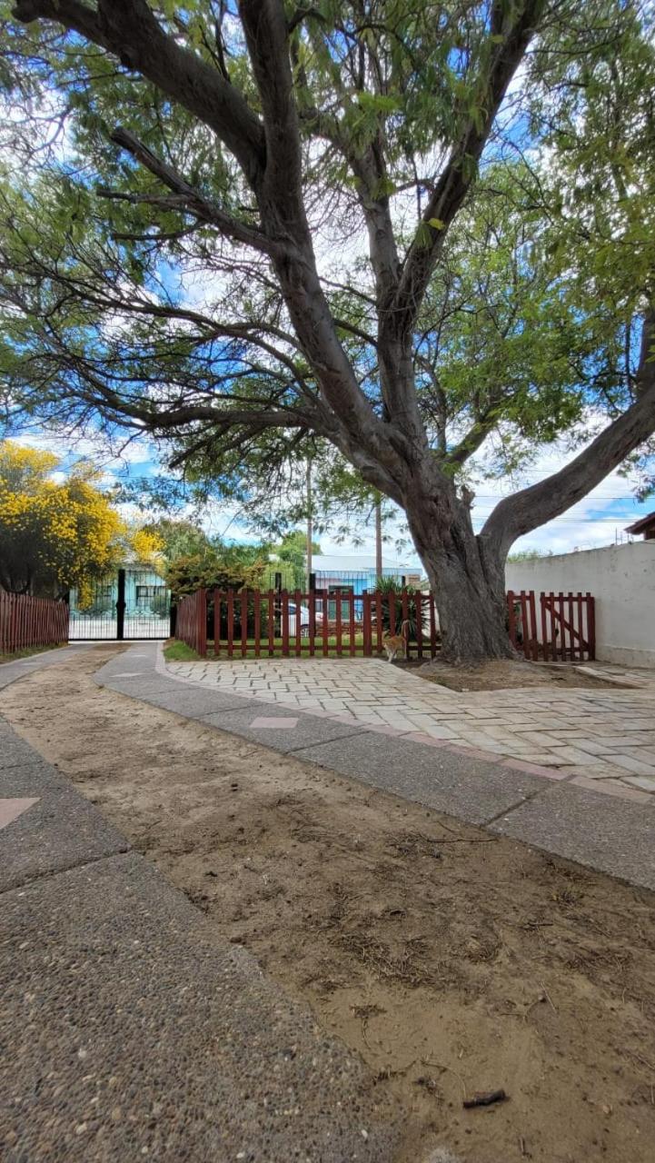 El Patio del Aromo