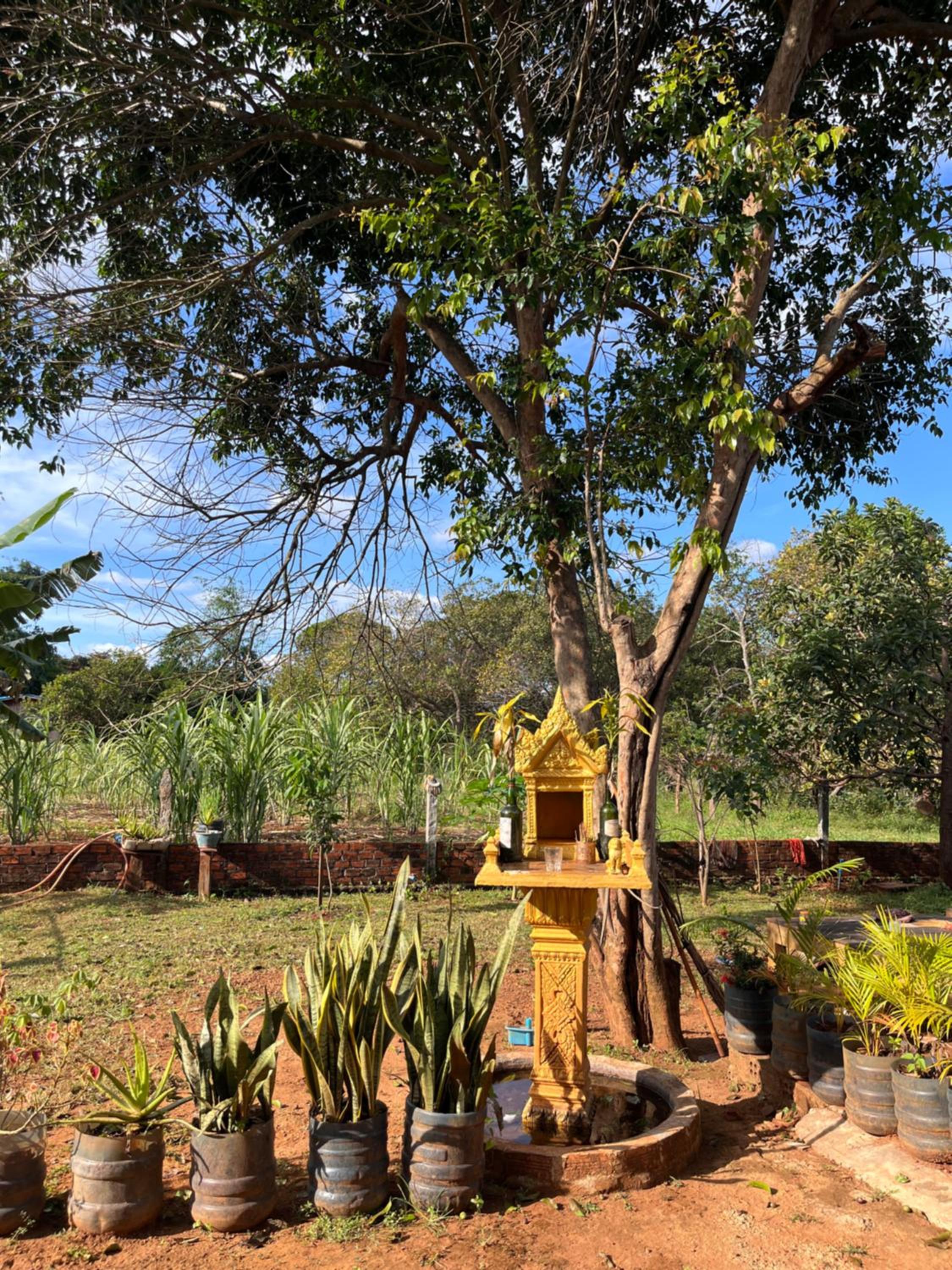 Ratanakiri Farmhouse & Trekking view 4
