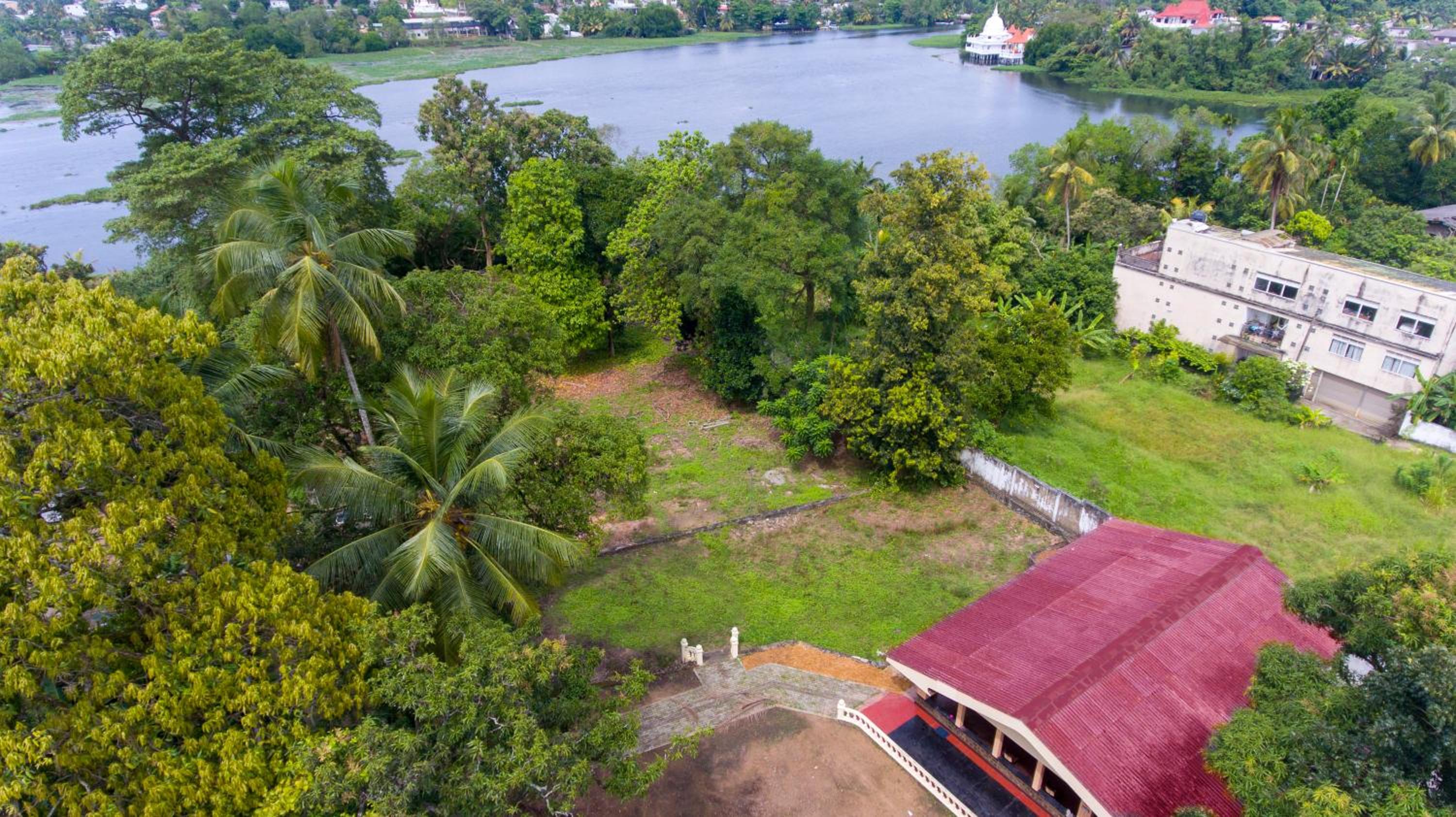 Blue Lotus Resorts Piliyandala-Colombo view 5
