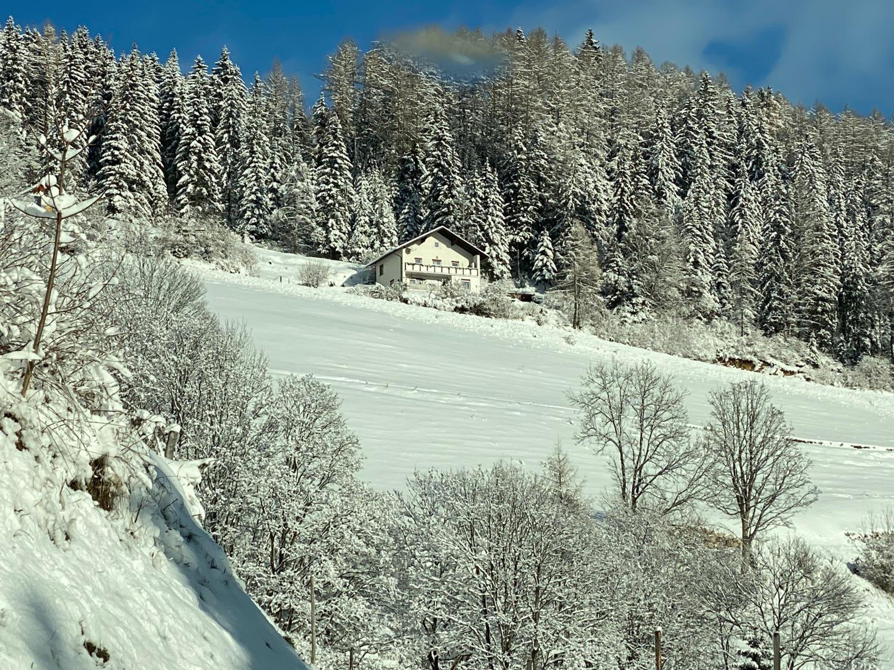 Pölstaler Berghütte