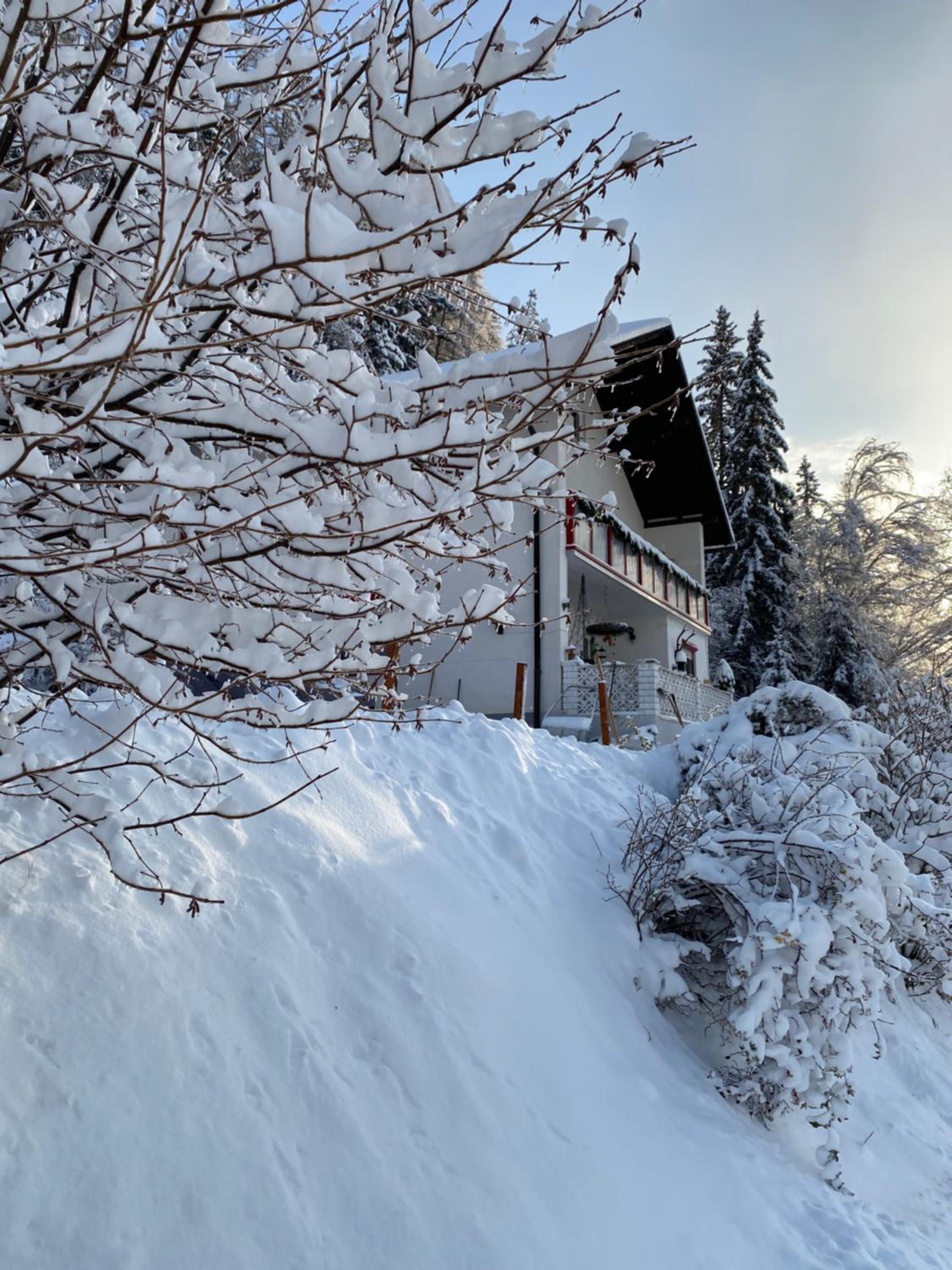 Pölstaler Berghütte