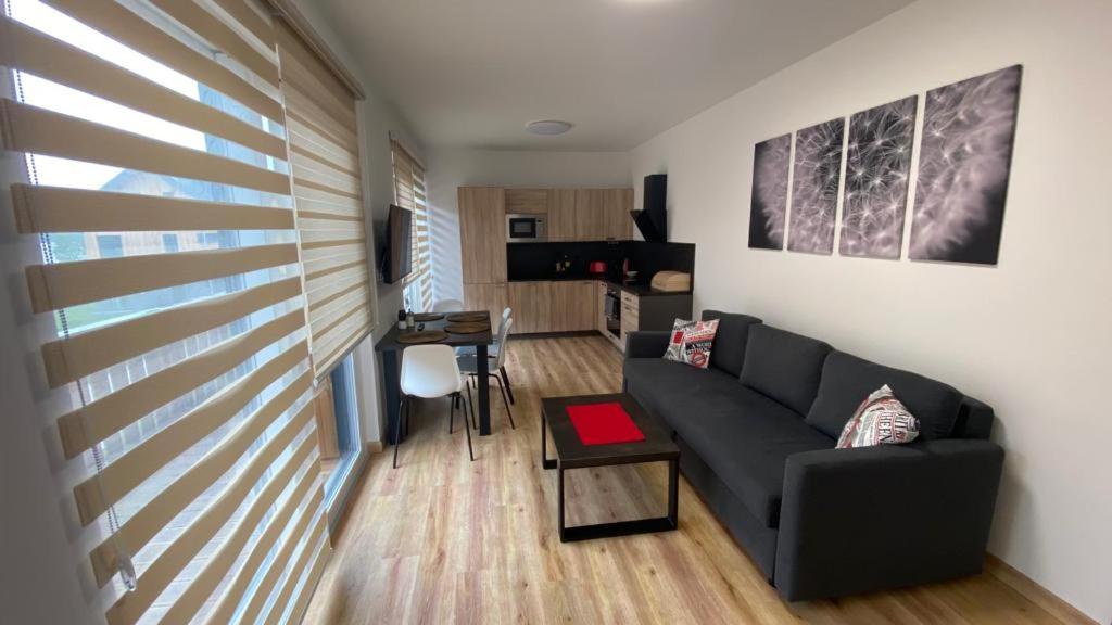 Apartmány - Malé Lipno