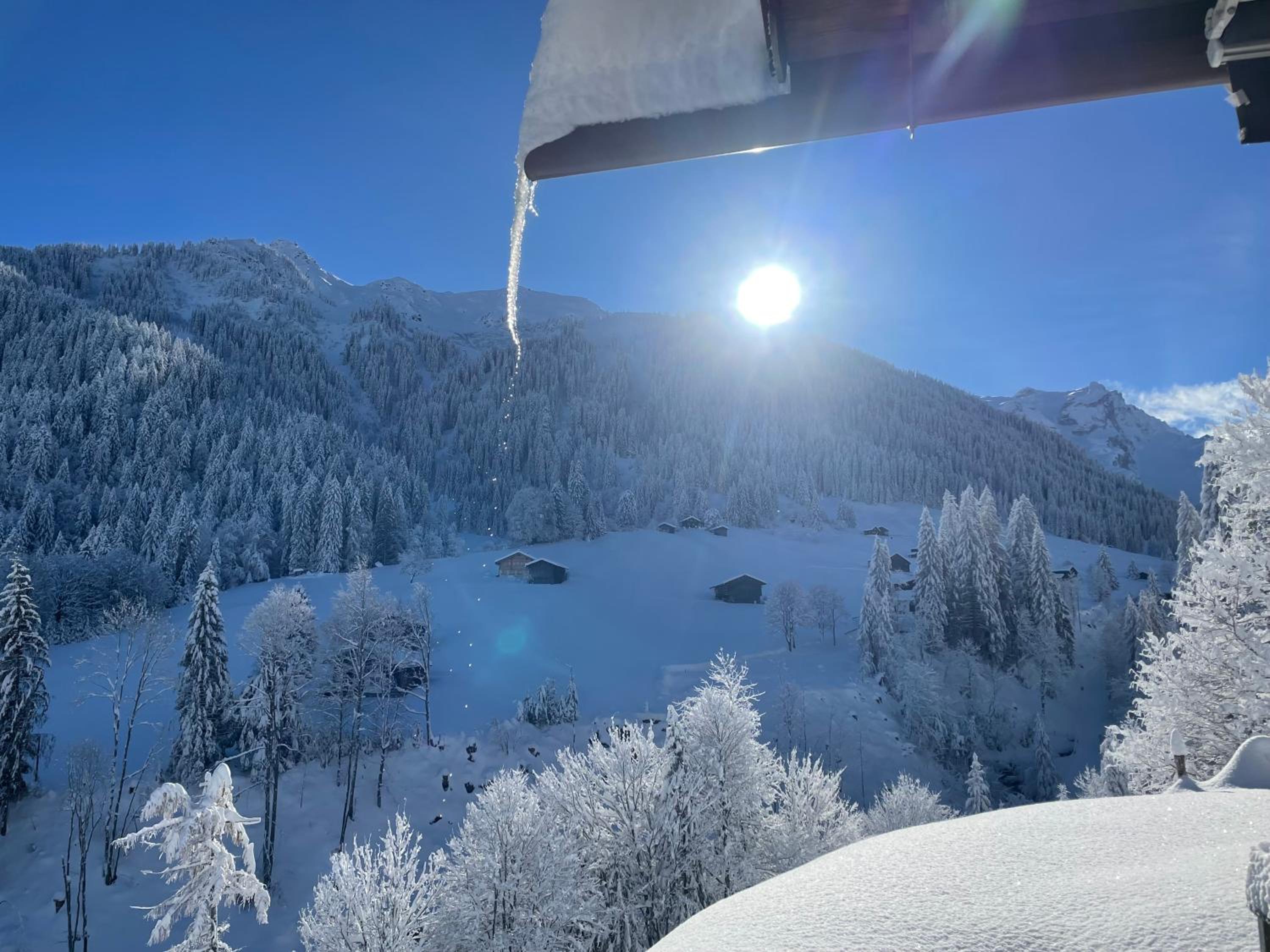 Alpenchalet Piz Hüsli