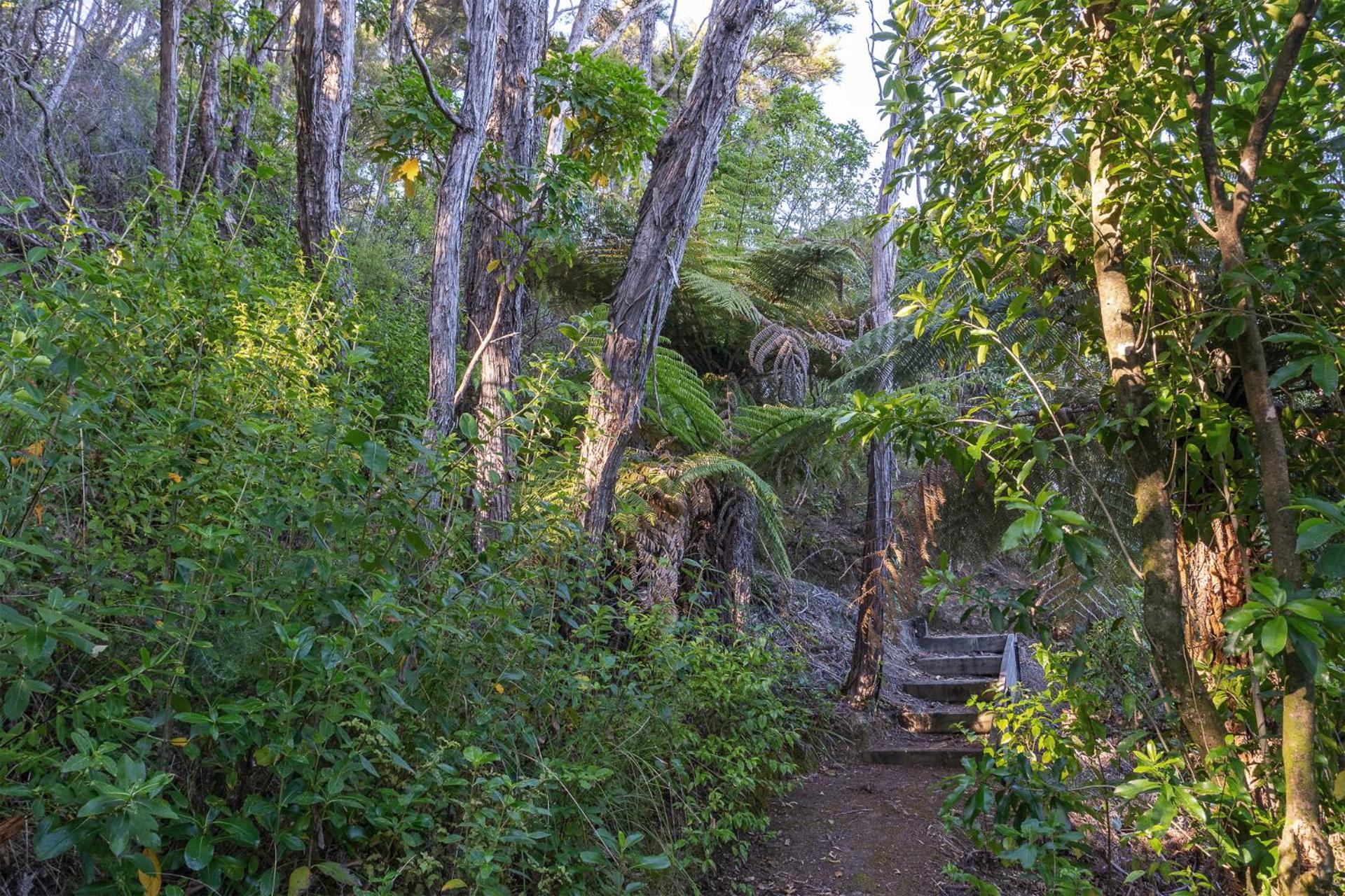 Tokongawa Retreat
