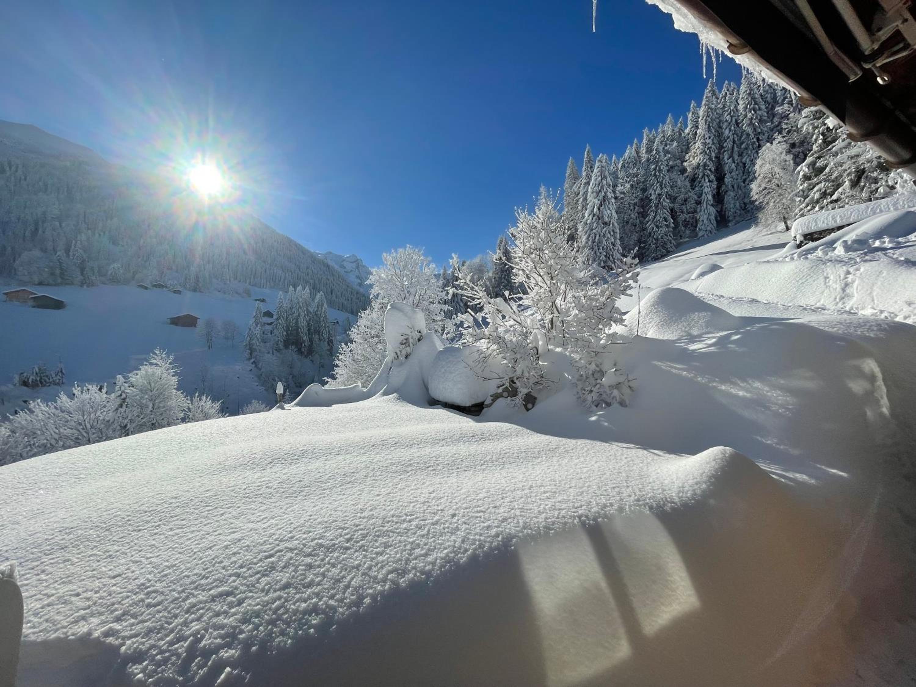 Alpenchalet Piz Hüsli