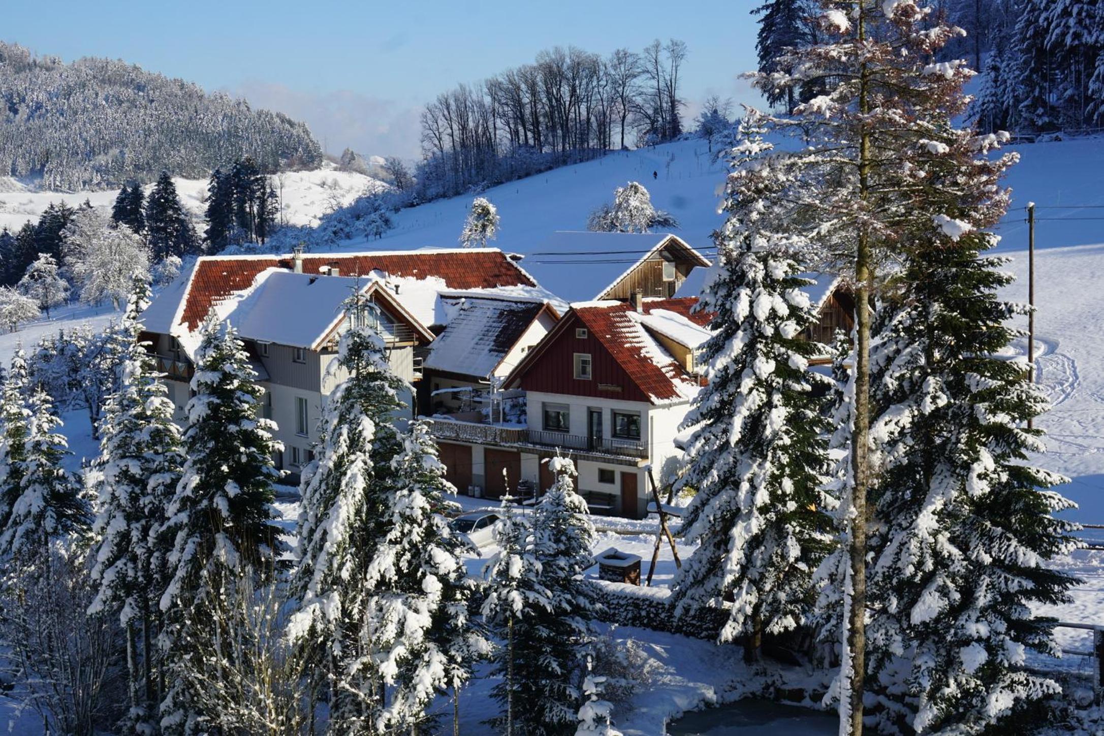 Müllerleile Hof