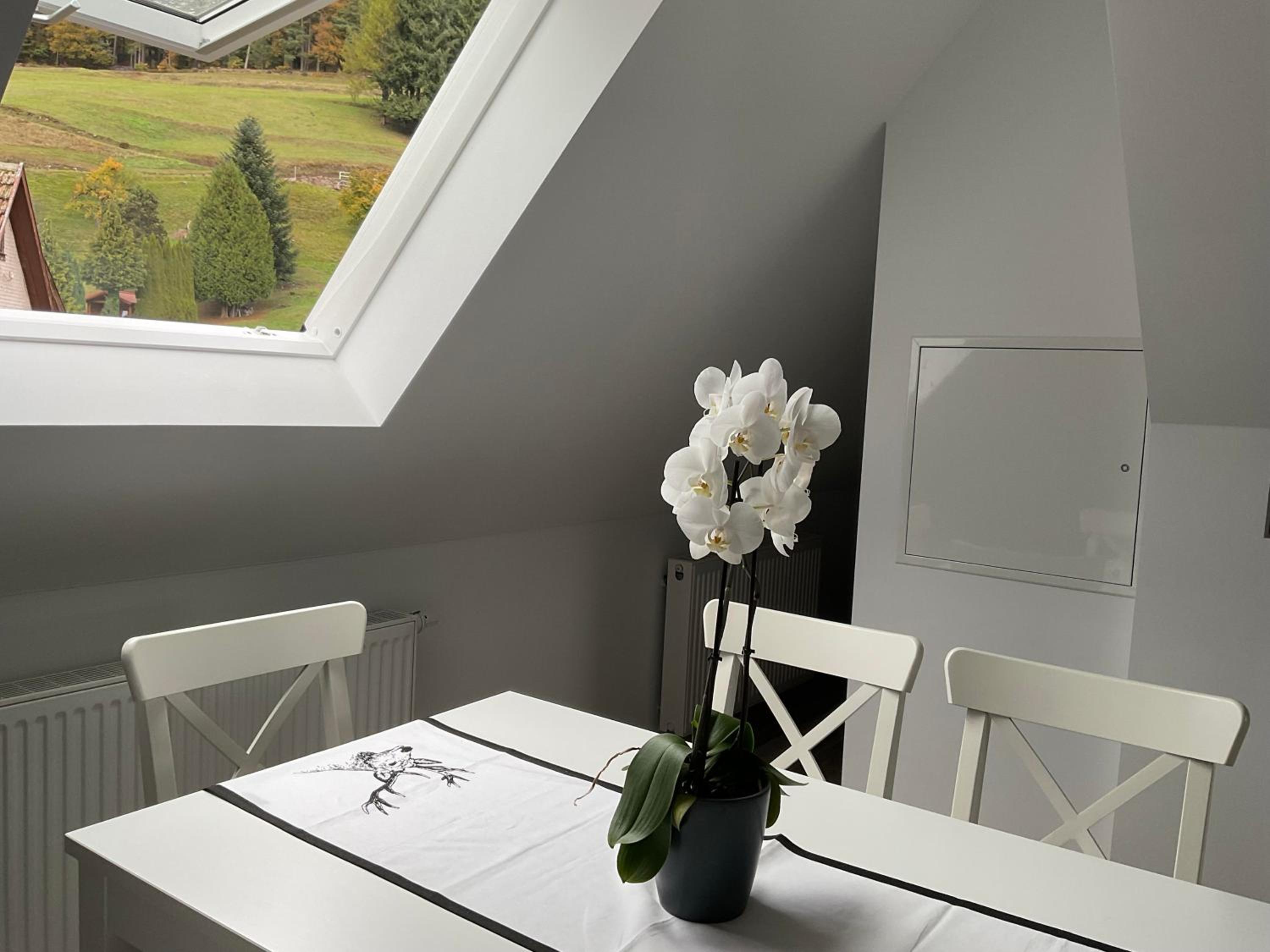 Ferienwohnung Schwarzwald Tannenzäpfle