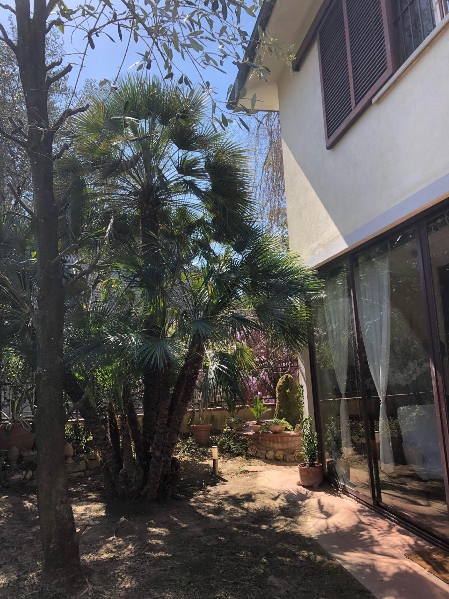 La Villa Bianca - appartamento in villa view 5