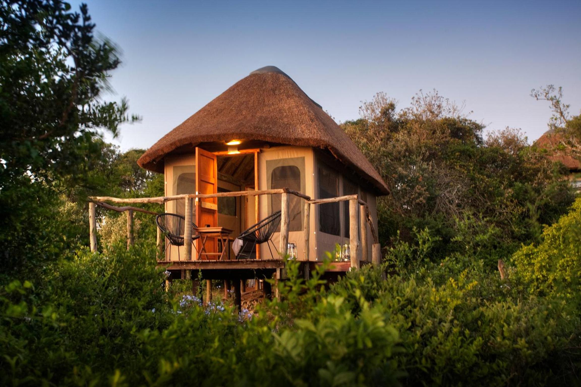 Addo Elephant Safari Lodge - Bellevue Forest Reserve