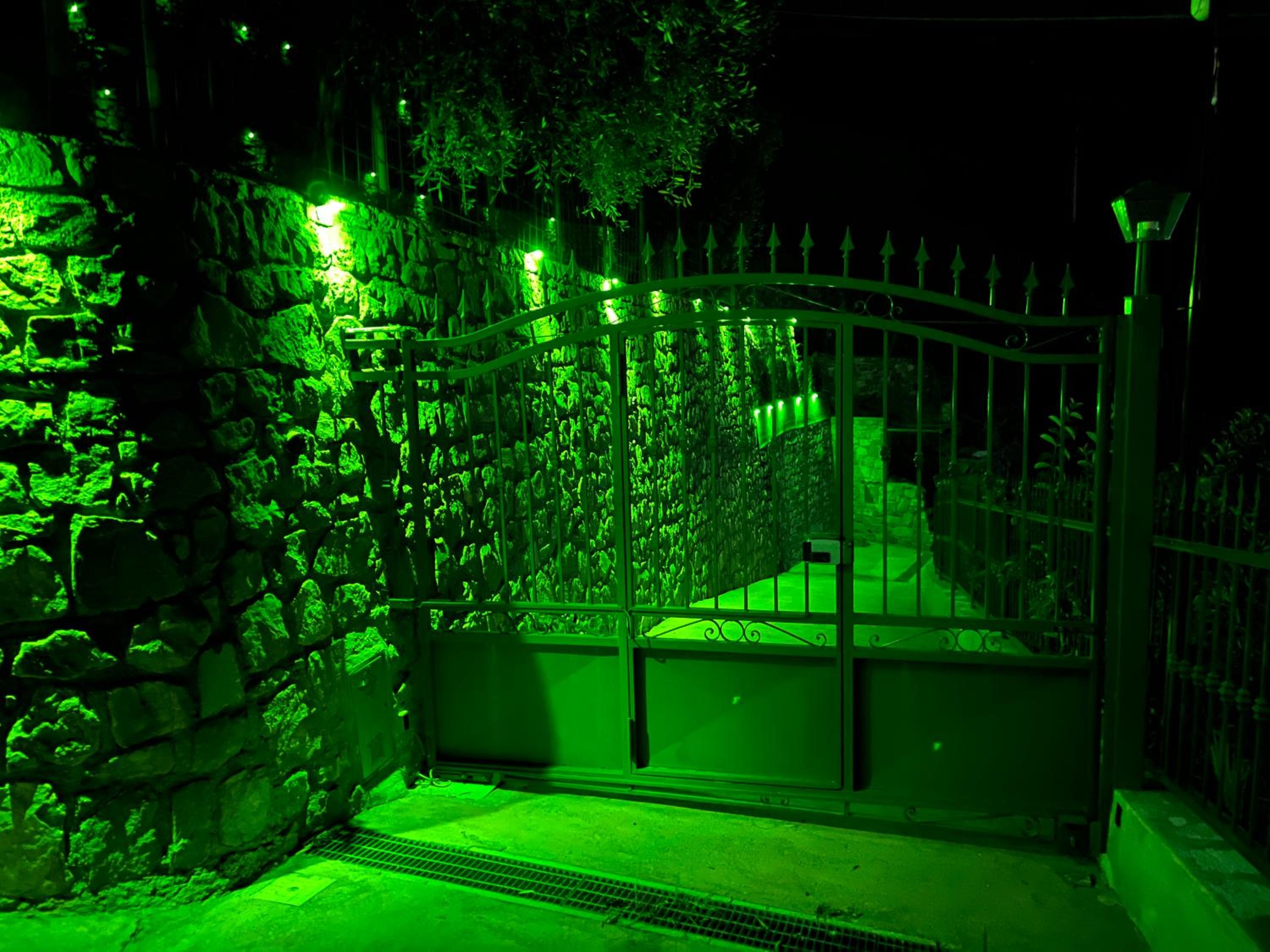 Photo 9