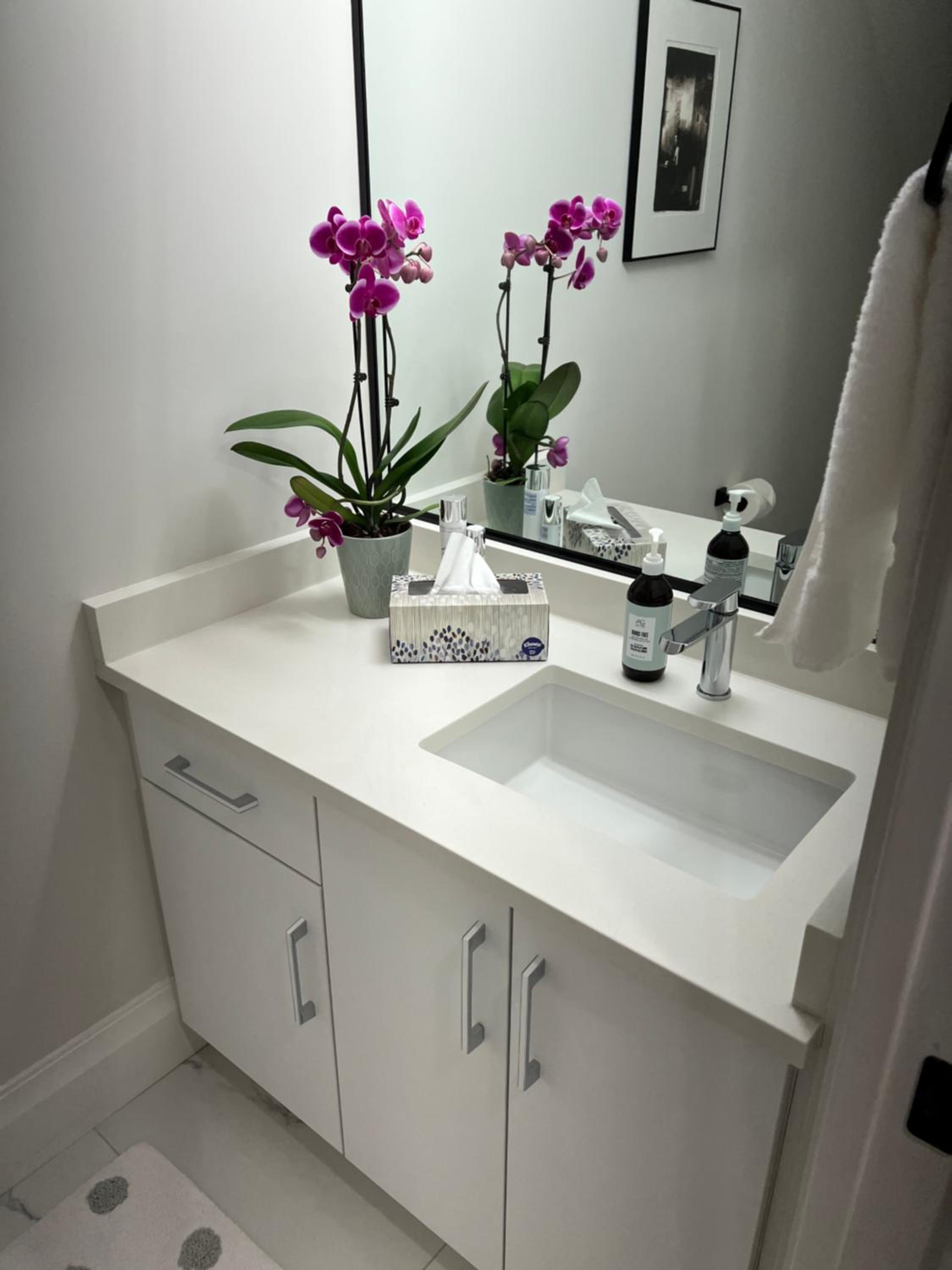 A Gentle Hideaway in the Urban Forest WEST END downtown Vancouver