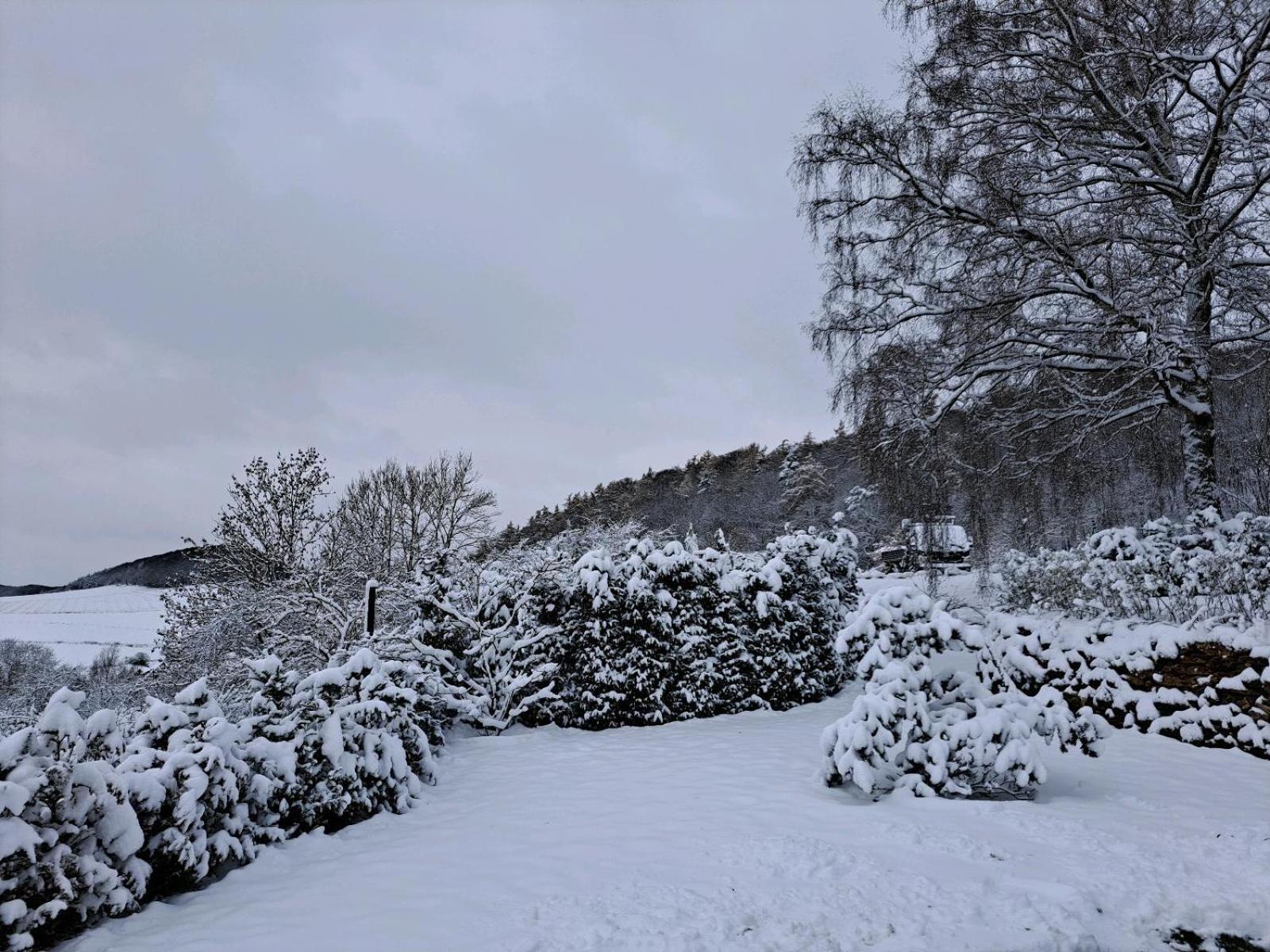 Sauerland-Tinyworld - Ihr Tiny Ferienhaus am Rande des Sauerlandes, Nähe Diemelsee