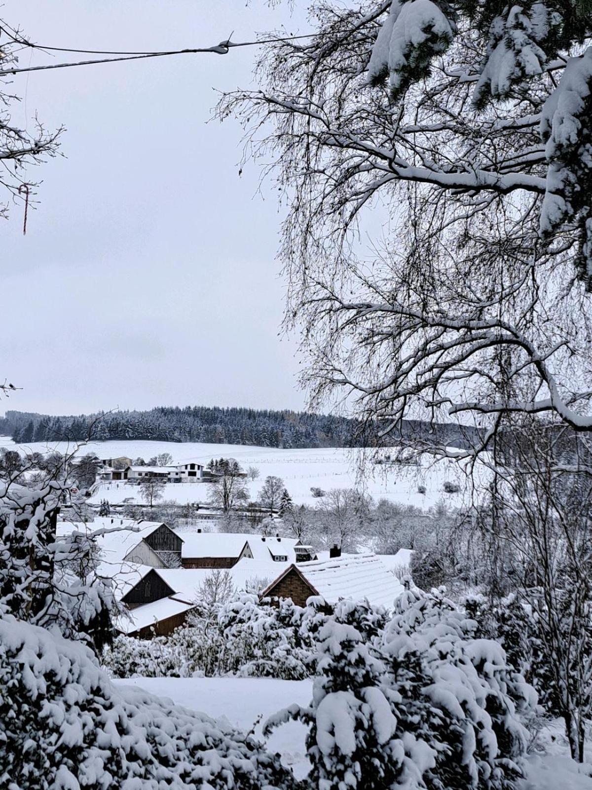 Sauerland-Tinyworld - Ihr Tiny Ferienhaus am Rande des Sauerlandes, Nähe Diemelsee