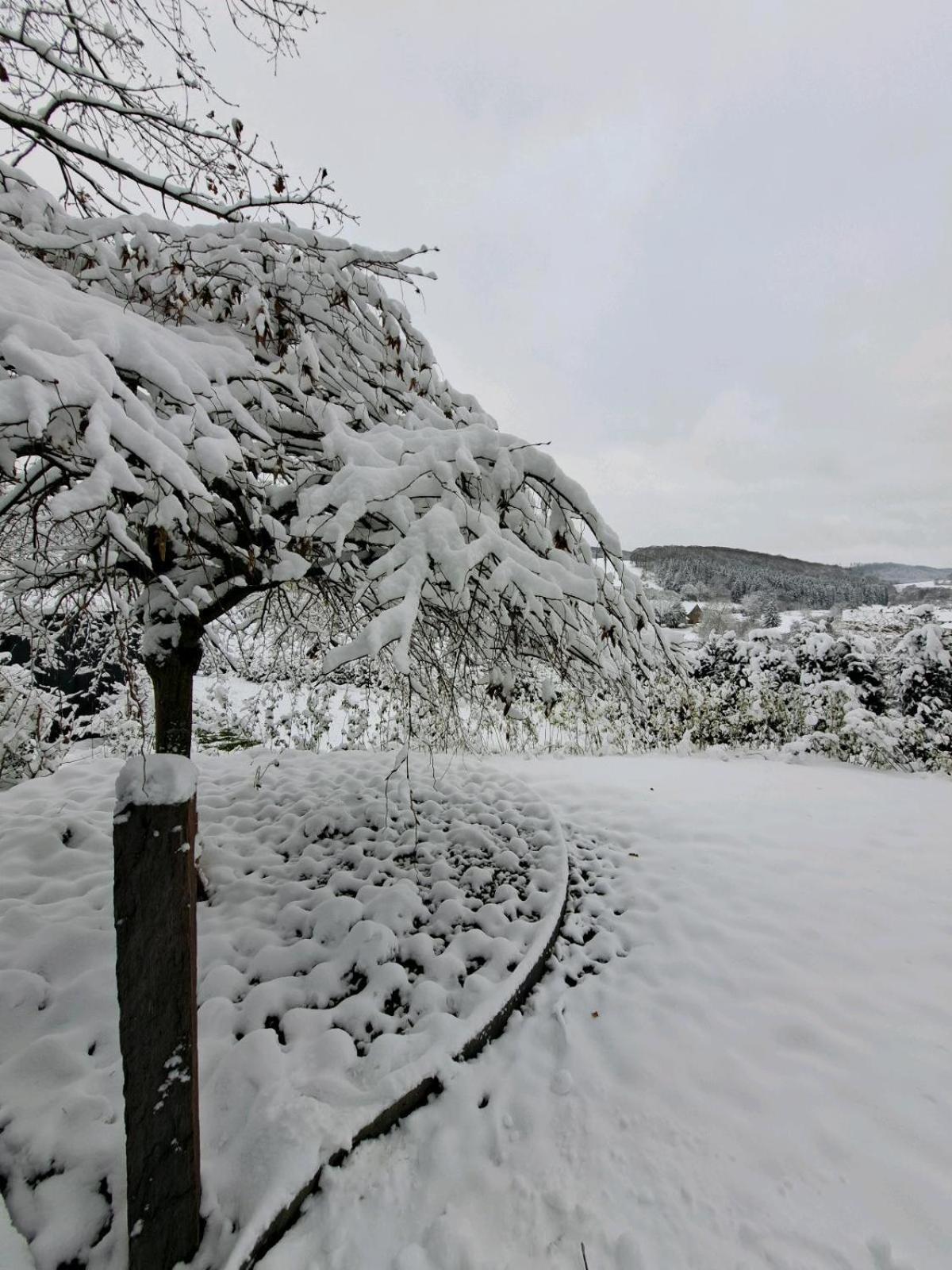 Sauerland-Tinyworld - Ihr Tiny Ferienhaus am Rande des Sauerlandes, Nähe Diemelsee