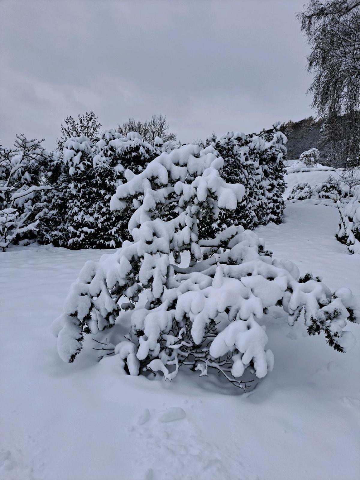 Sauerland-Tinyworld - Ihr Tiny Ferienhaus am Rande des Sauerlandes, Nähe Diemelsee