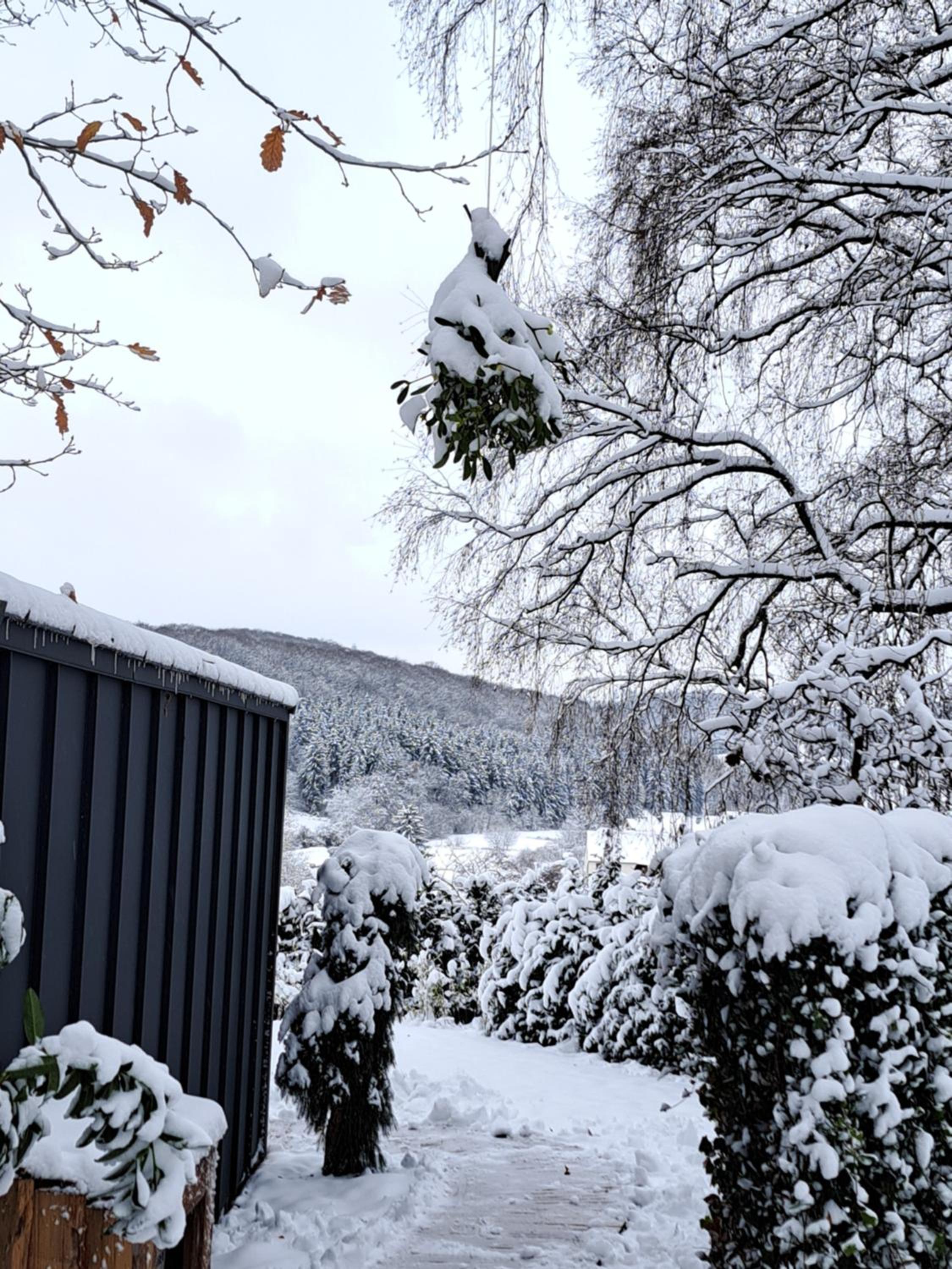Sauerland-Tinyworld - Ihr Tiny Ferienhaus am Rande des Sauerlandes, Nähe Diemelsee