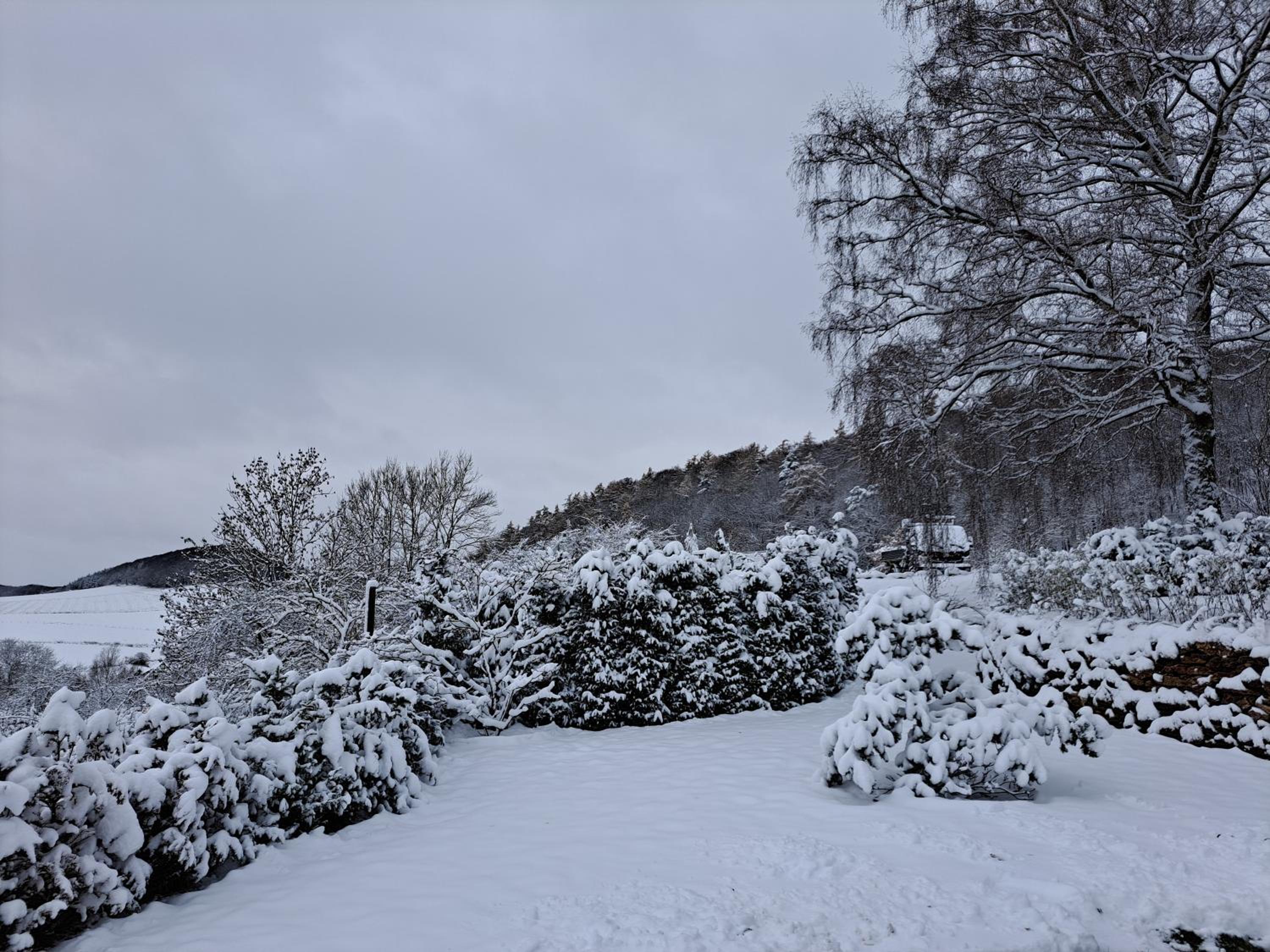 Sauerland-Tinyworld - Ihr Tiny Ferienhaus am Rande des Sauerlandes, Nähe Diemelsee