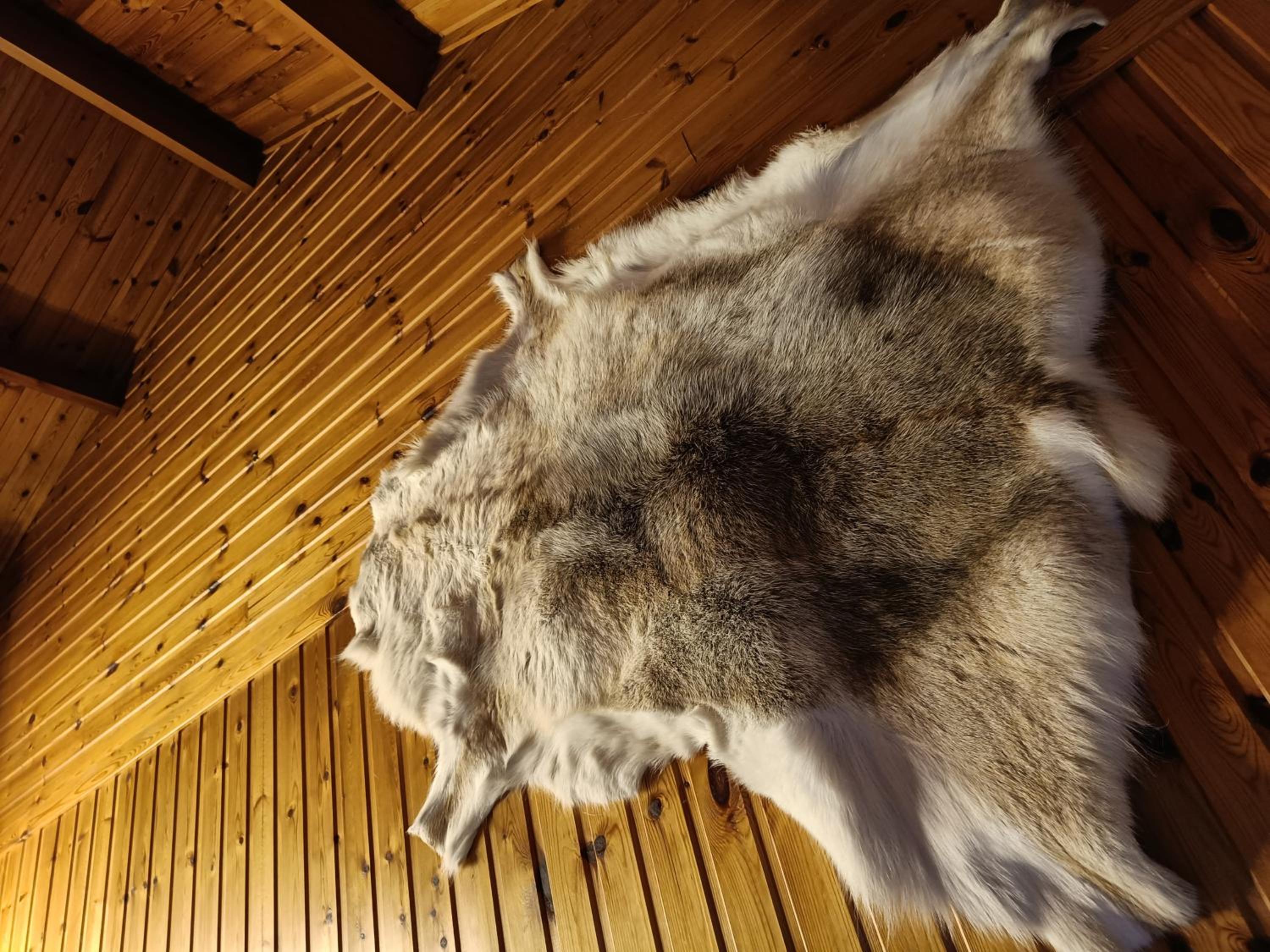 Photo 53