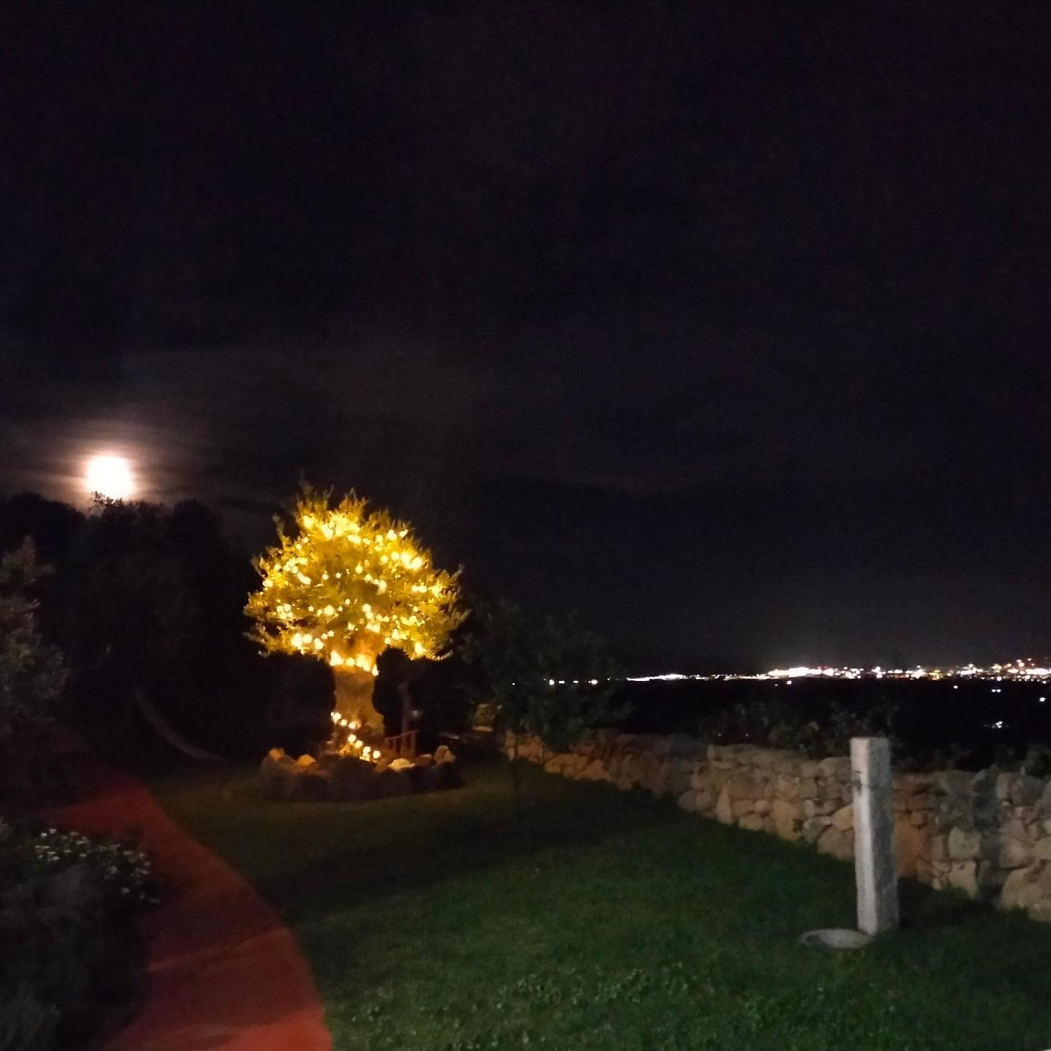 B&B Bellavista view 2
