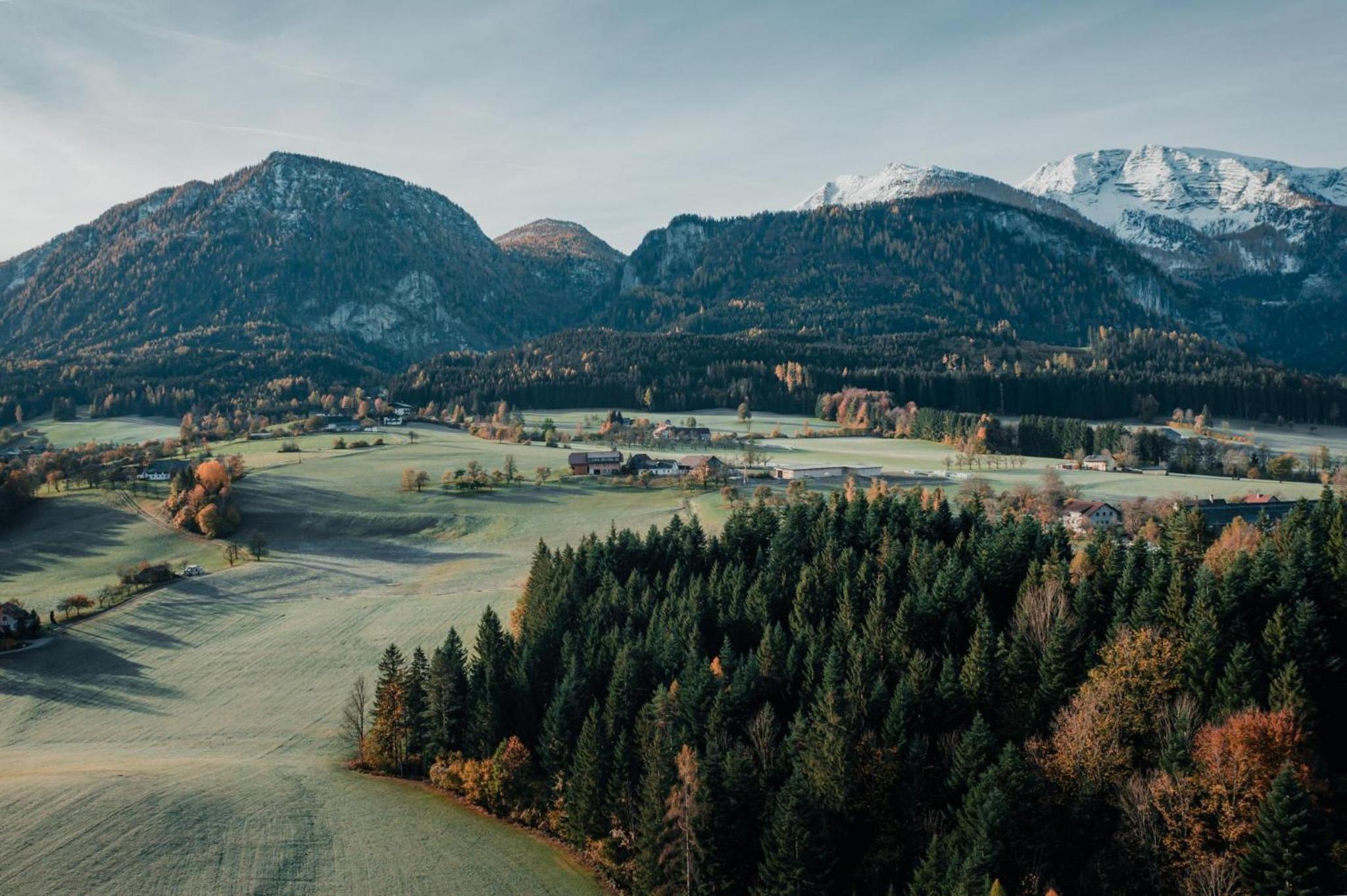 Bergblickapartments