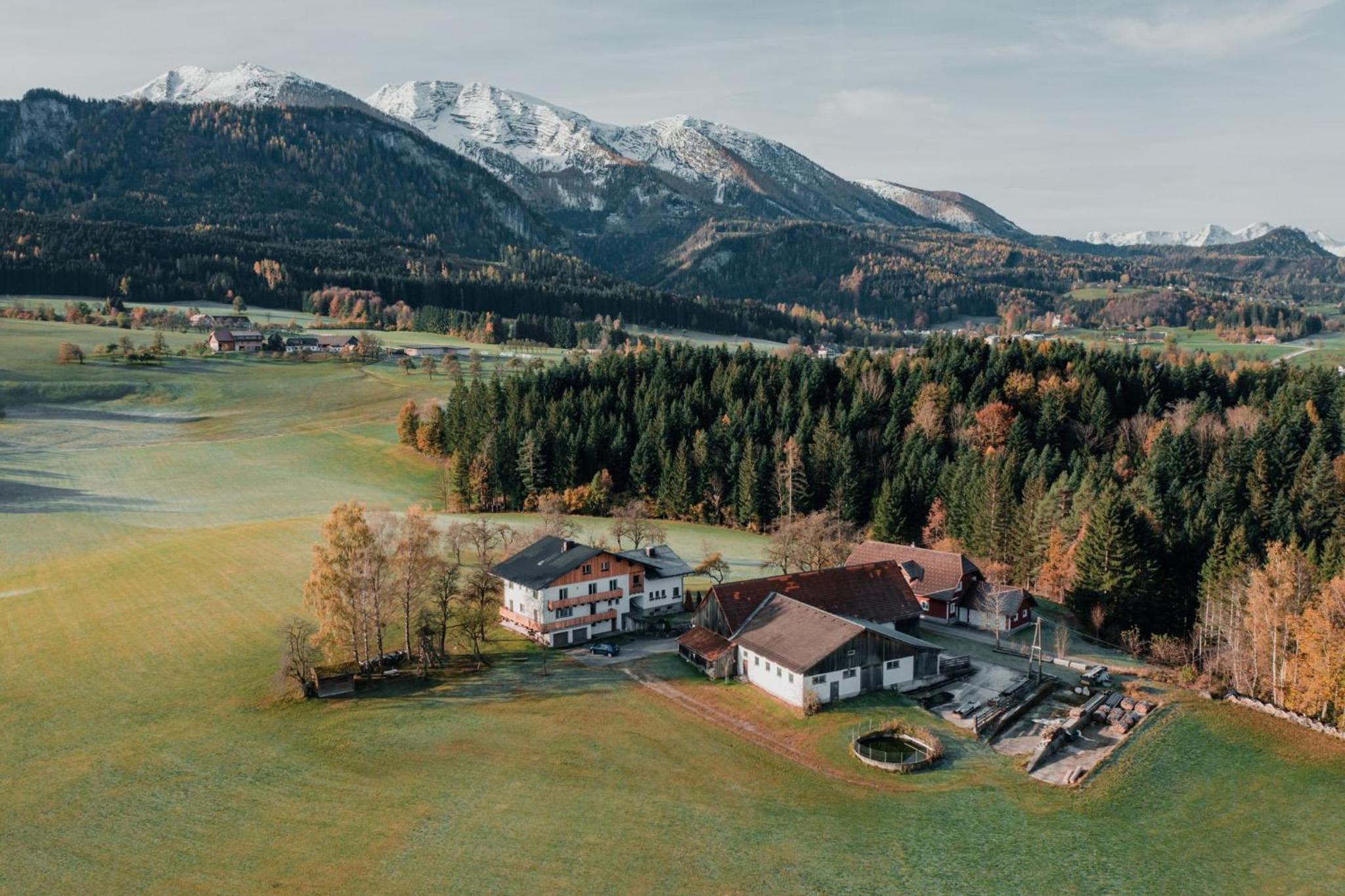 Bergblickapartments