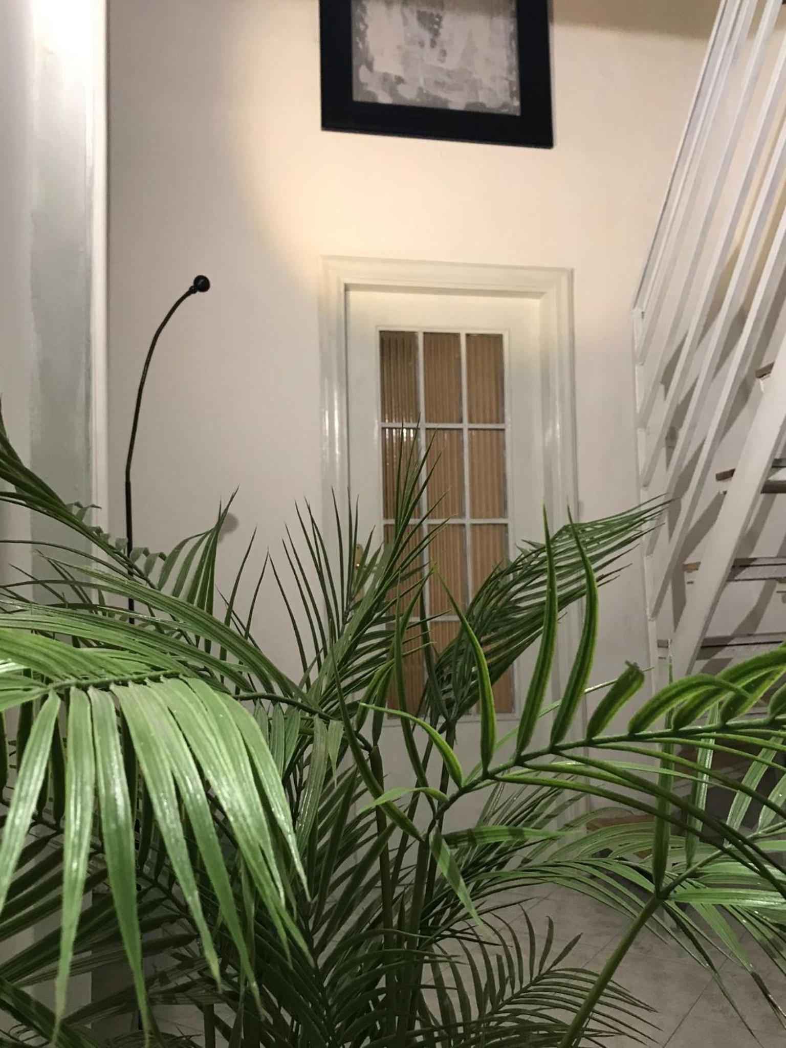 Botanical Garden's Flat