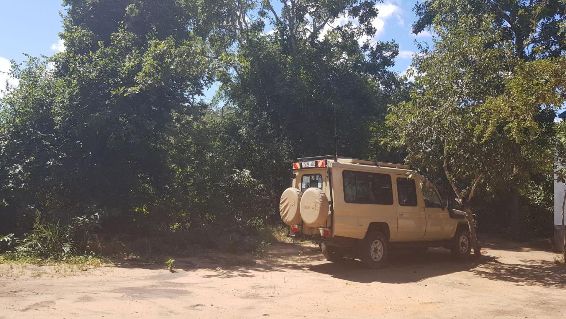 Camp Seluu - Join Safari view 5