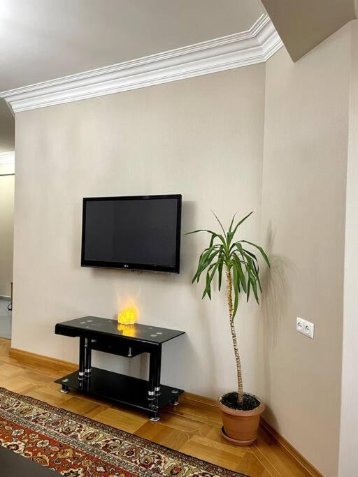 Sunny 2-Bedroom Flat in Yerevan.
