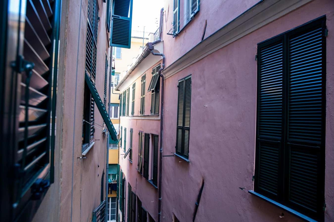 ZenAmore