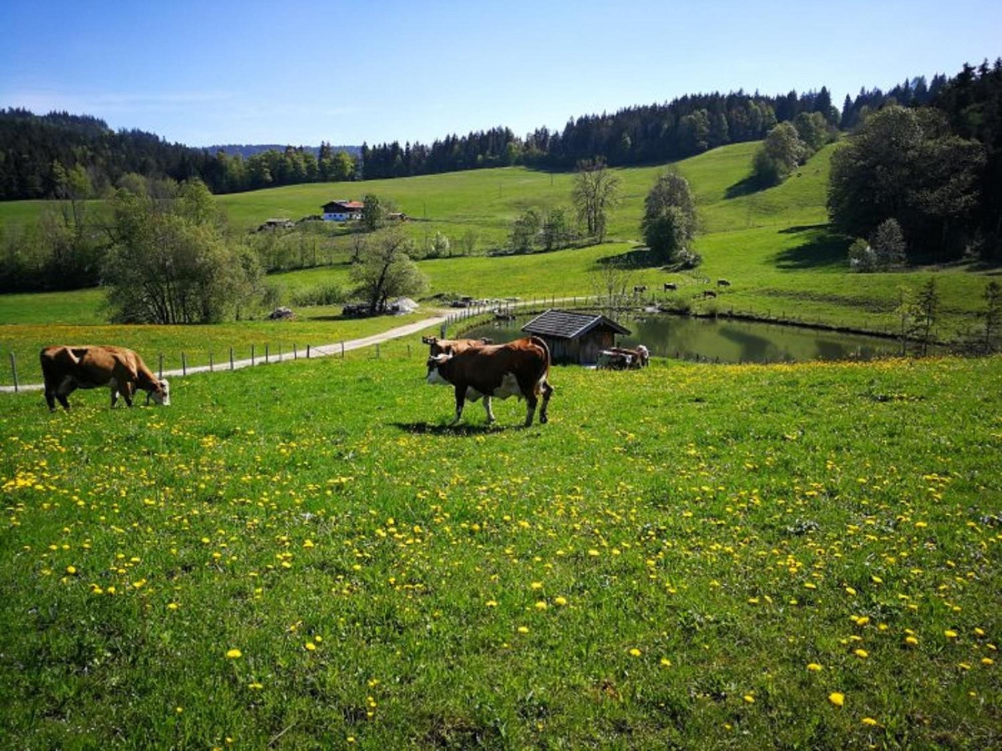 Einsiedlhof