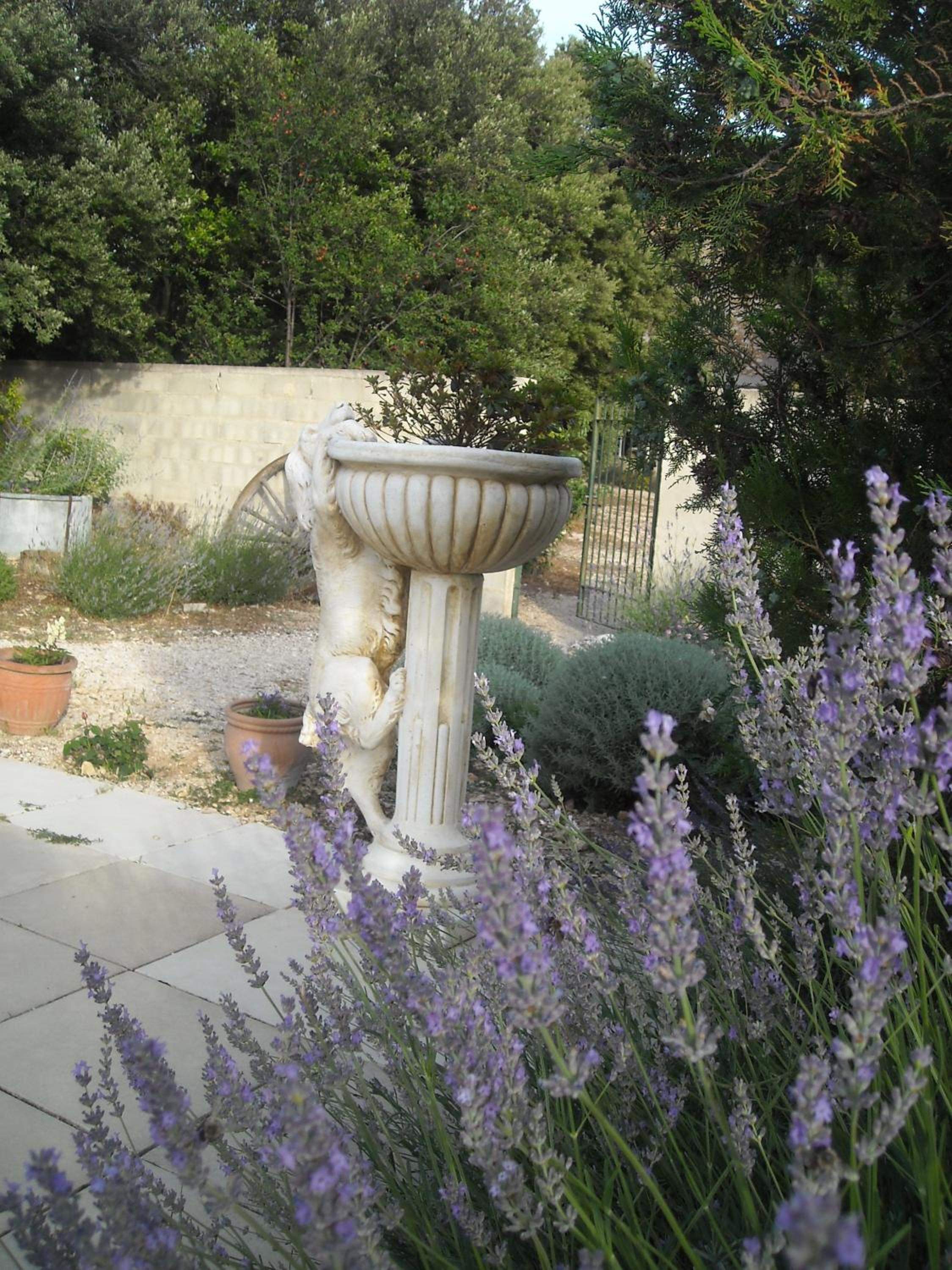 Photo 19