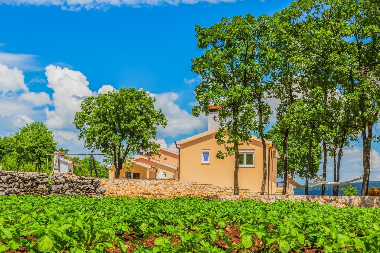 Villa Patria with Media room, Private pool, Summer kitchen, Gym view 3
