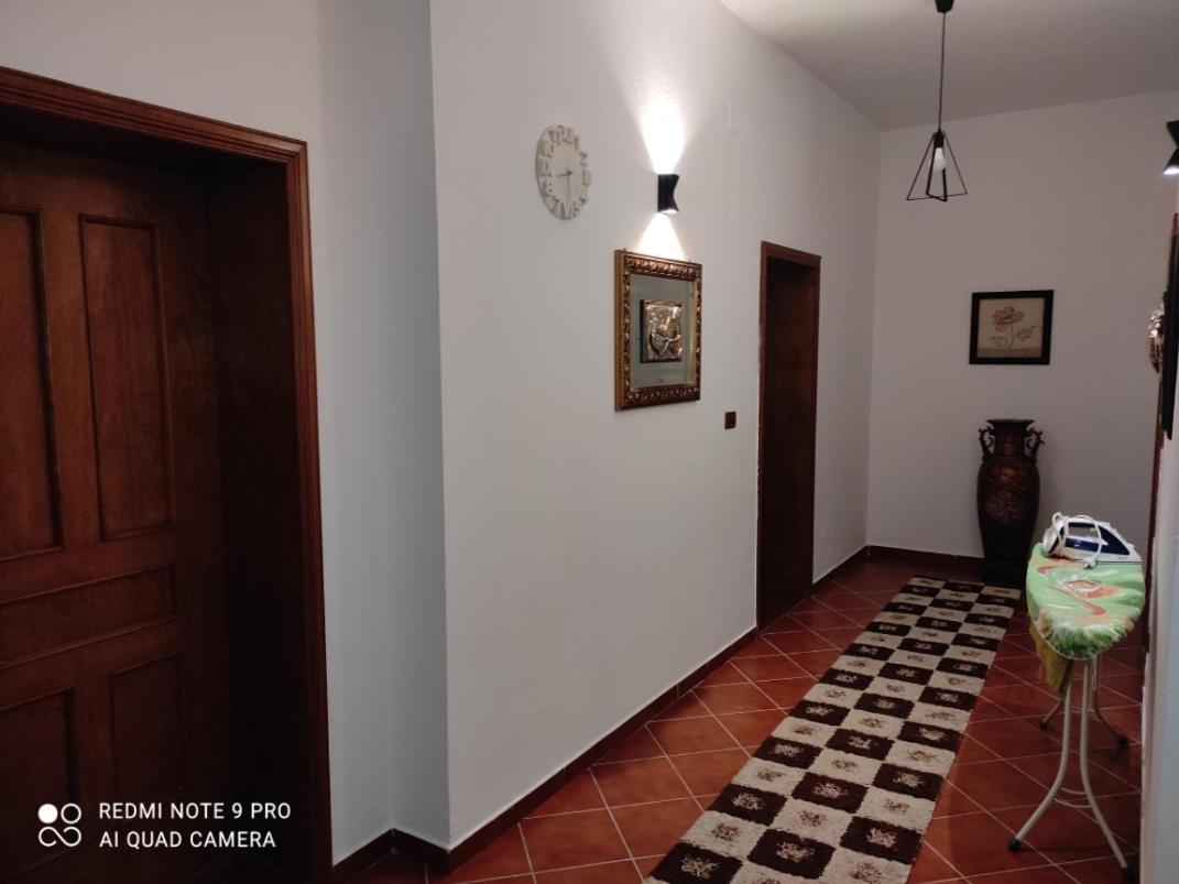 6 Apartments at city center
