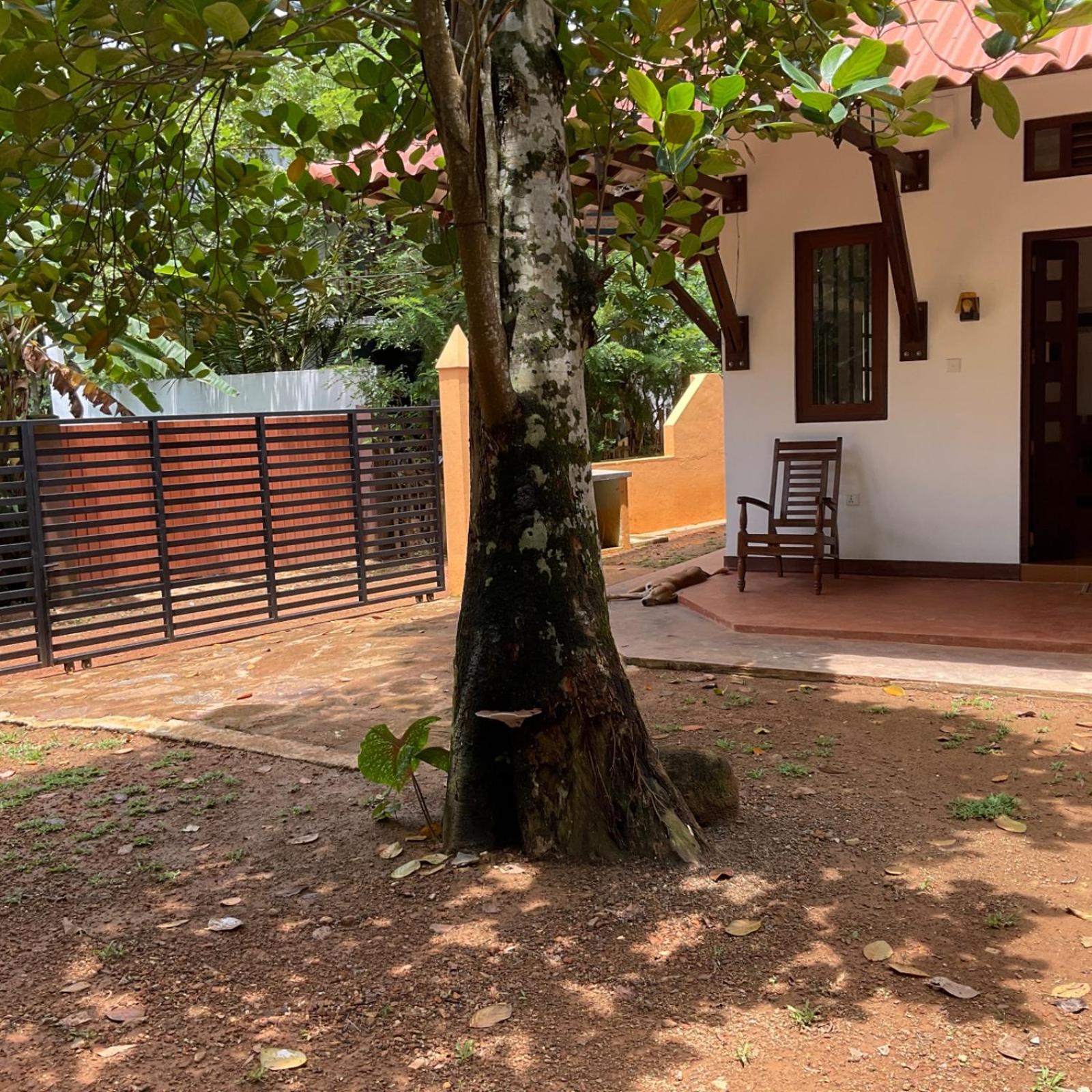 Economy Holiday Home