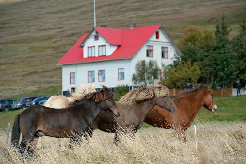 Geitaskarð