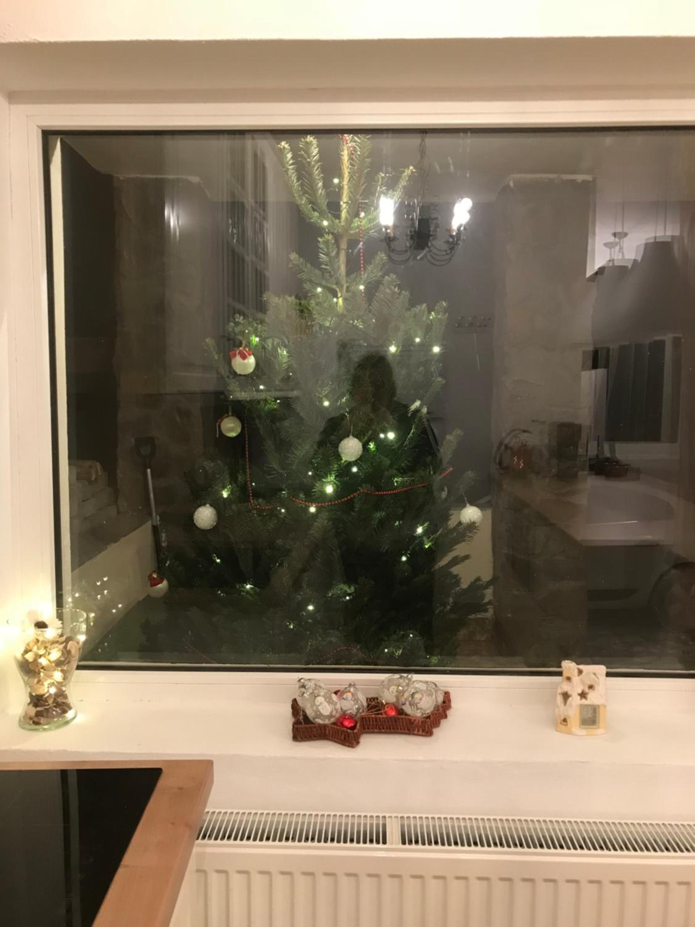 Photo 44