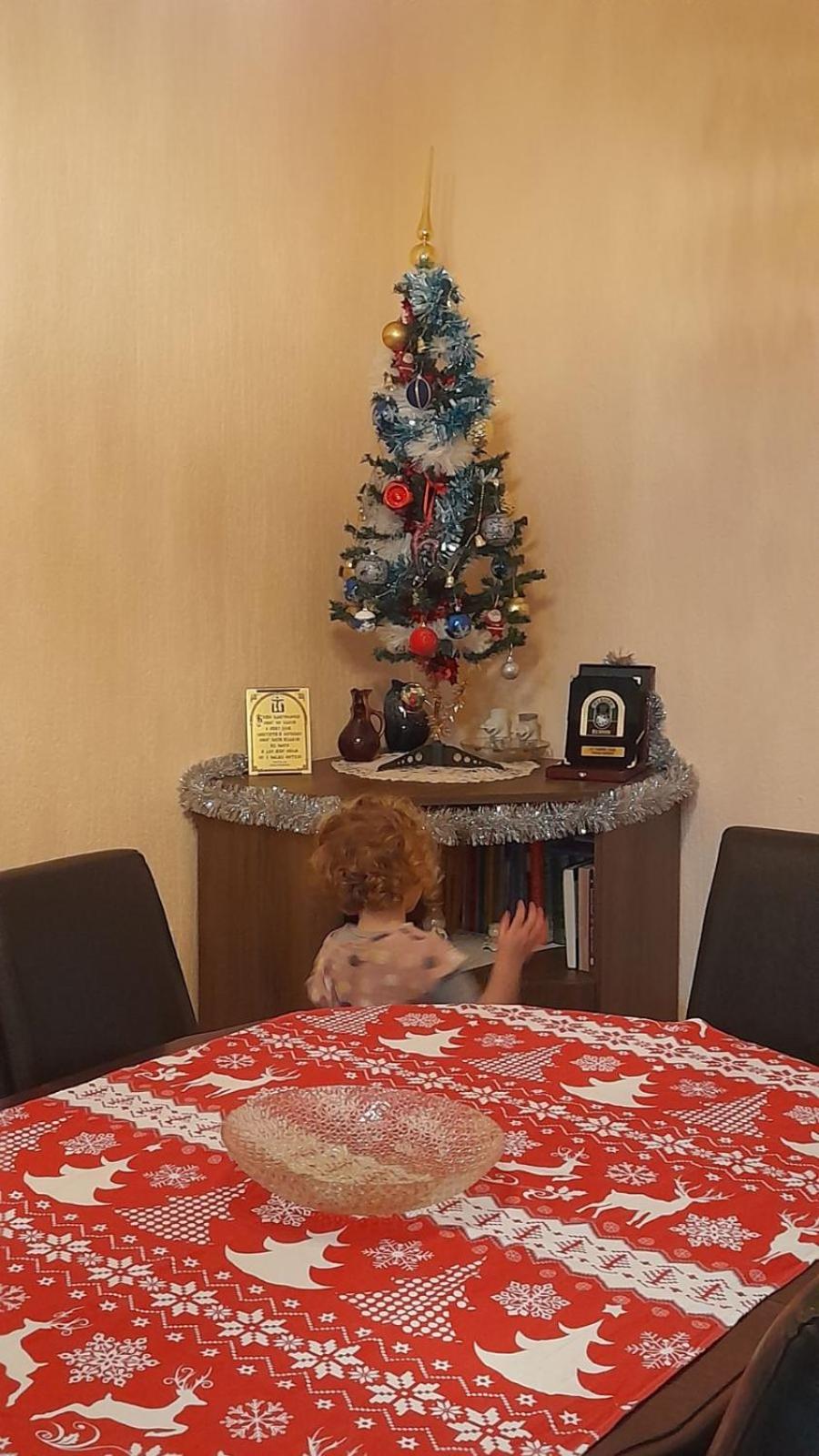 Apartman Visnja view 3