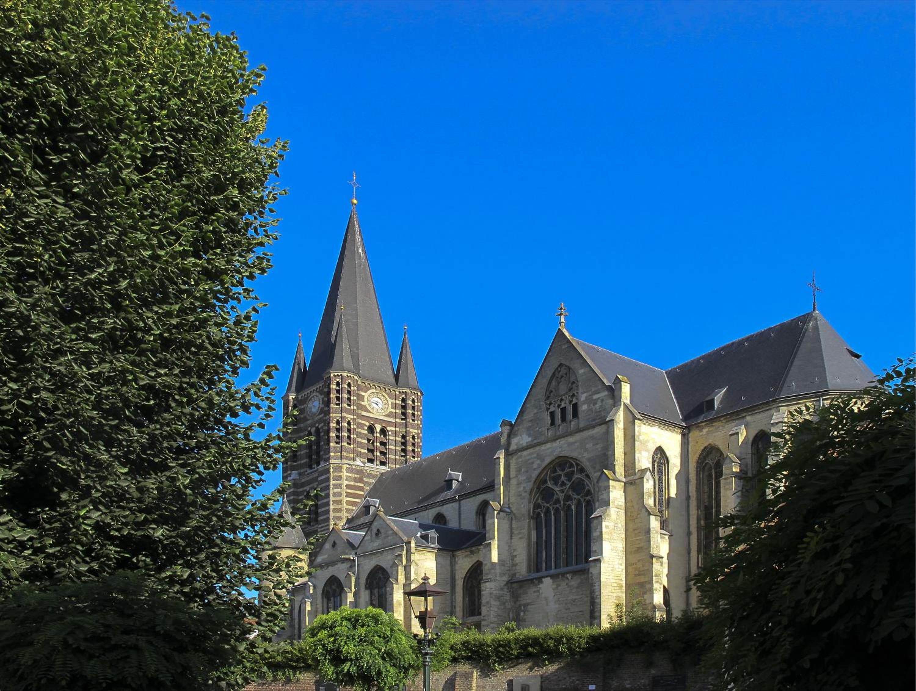 Photo 24